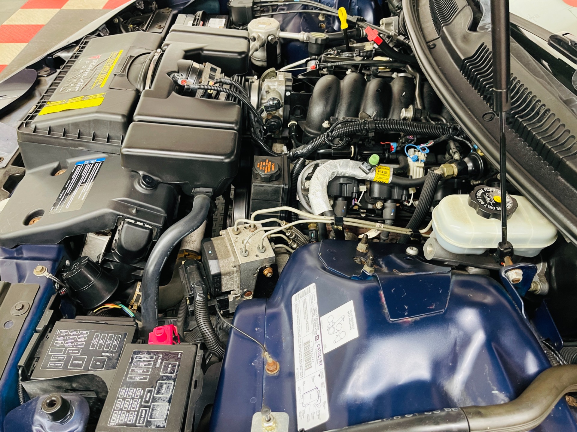 Used 2001 Pontiac Firebird TRANS AM WS6 - SEE VIDEO | St. Petersburg, FL