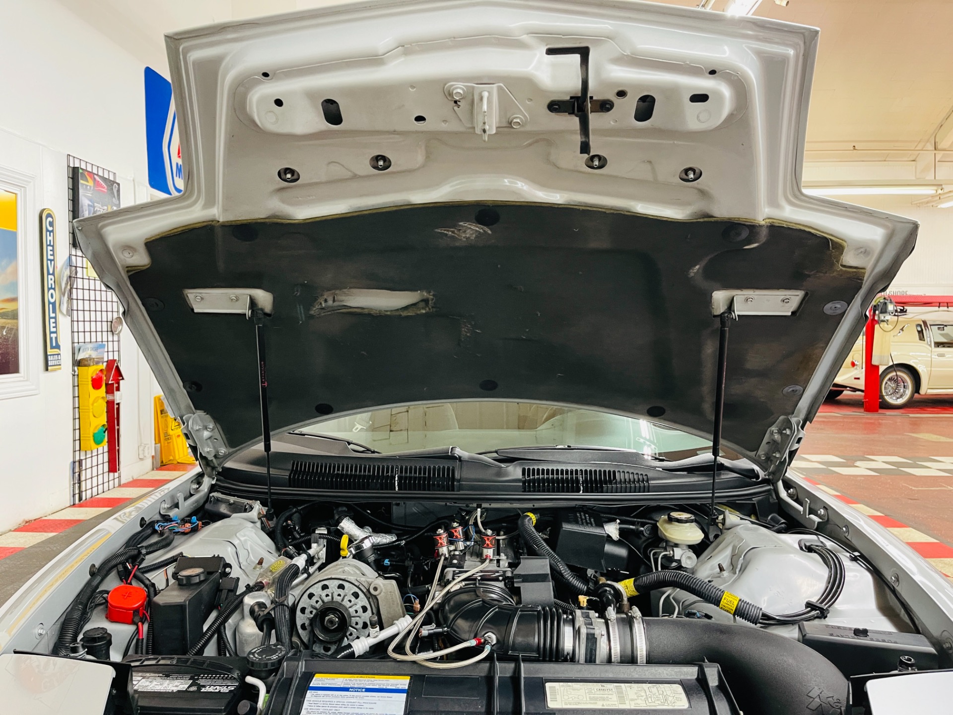 Used 1997 Pontiac Firebird - TRANS AM - 6 SPEED MANUAL - T TOPS - SEE VIDEO | St. Petersburg, FL