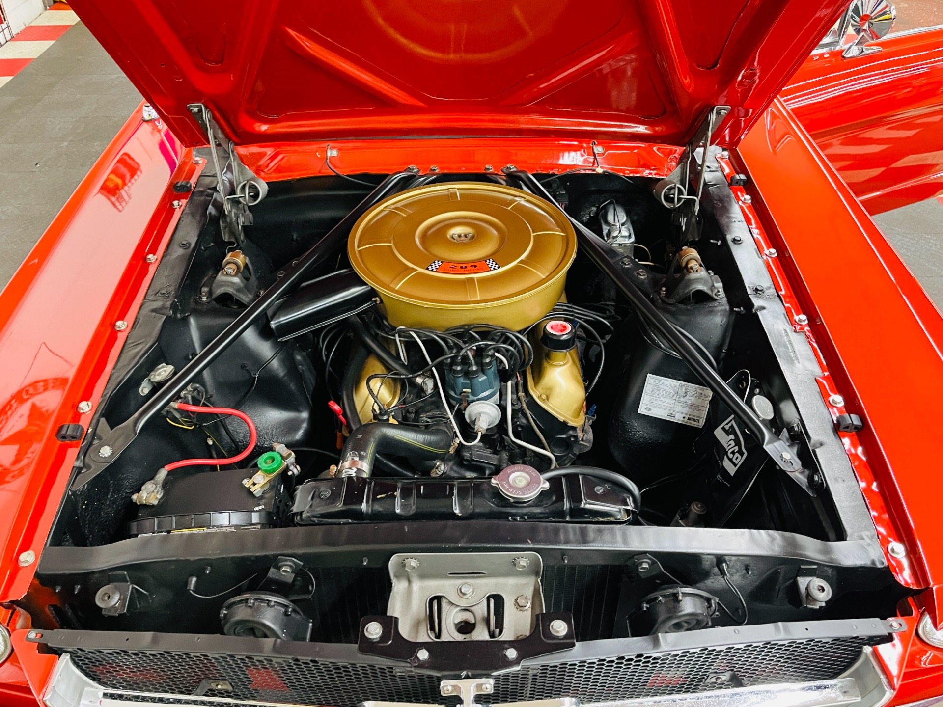 Used 1965 Ford Mustang - CONVERTIBLE - 289 V8 ENGINE - AUTO TRANS - SEE VIDEO | St. Petersburg, FL