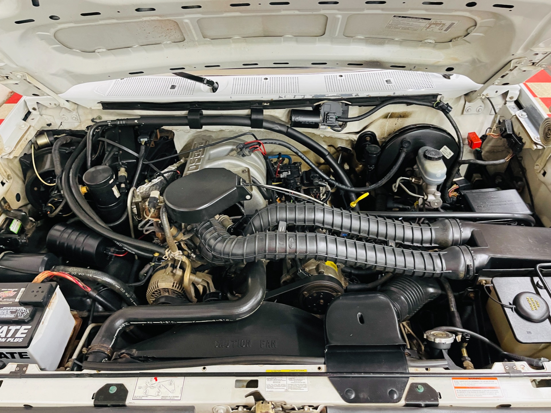 Used 1994 Ford Bronco XL - SEE VIDEO | St. Petersburg, FL