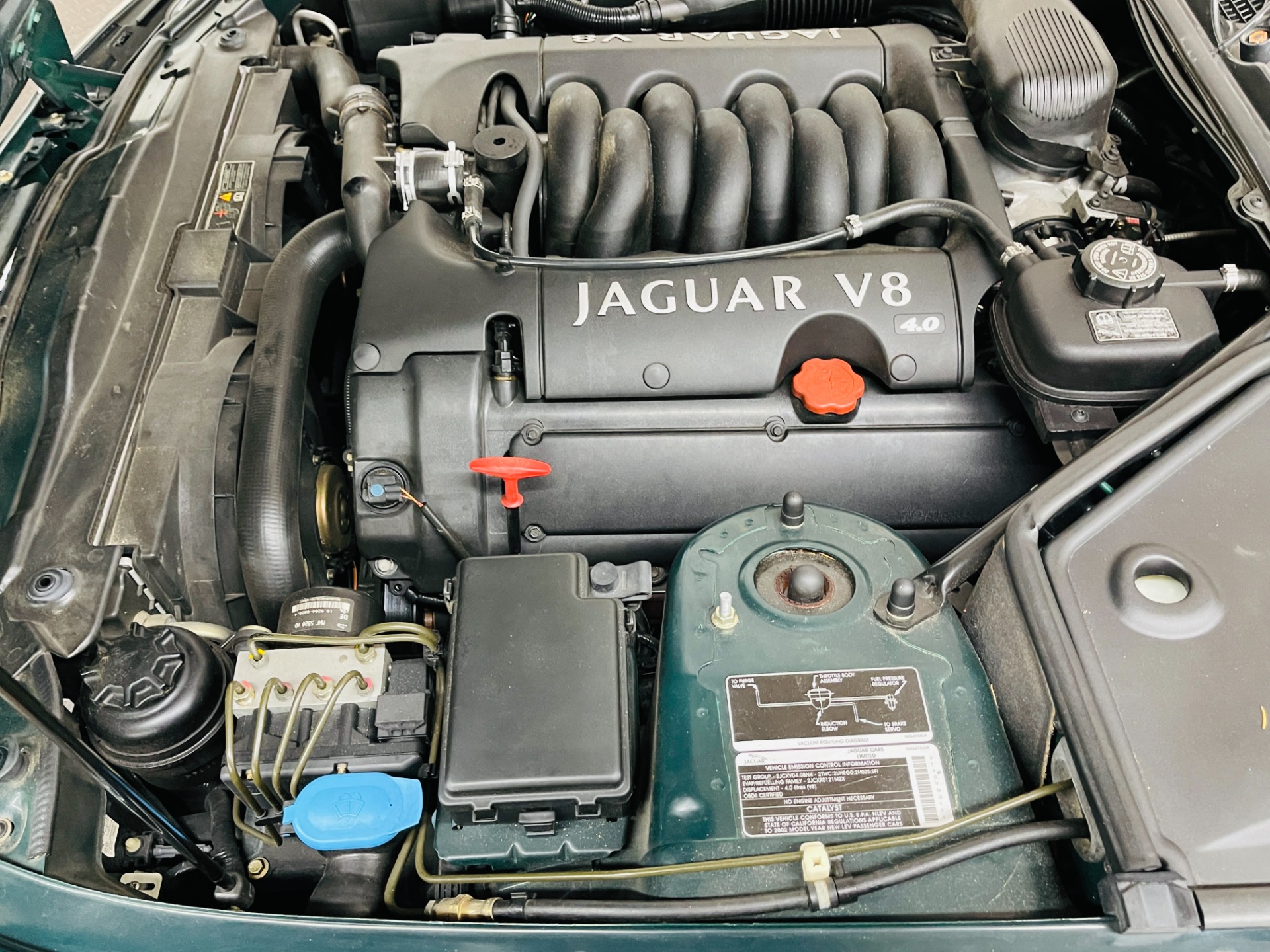 Used 2002 Jaguar XK-Series XK8 - SEE VIDEO | Mundelein, IL