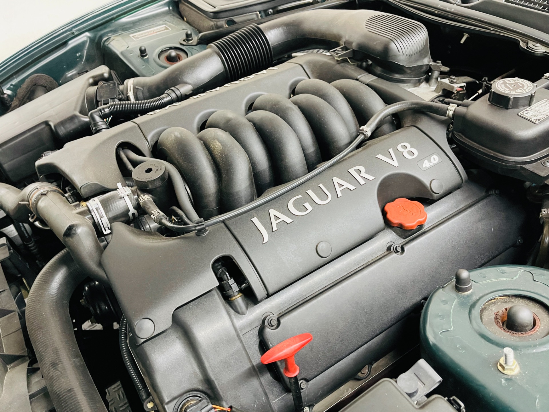 Used 2002 Jaguar XK-Series XK8 - SEE VIDEO | Mundelein, IL