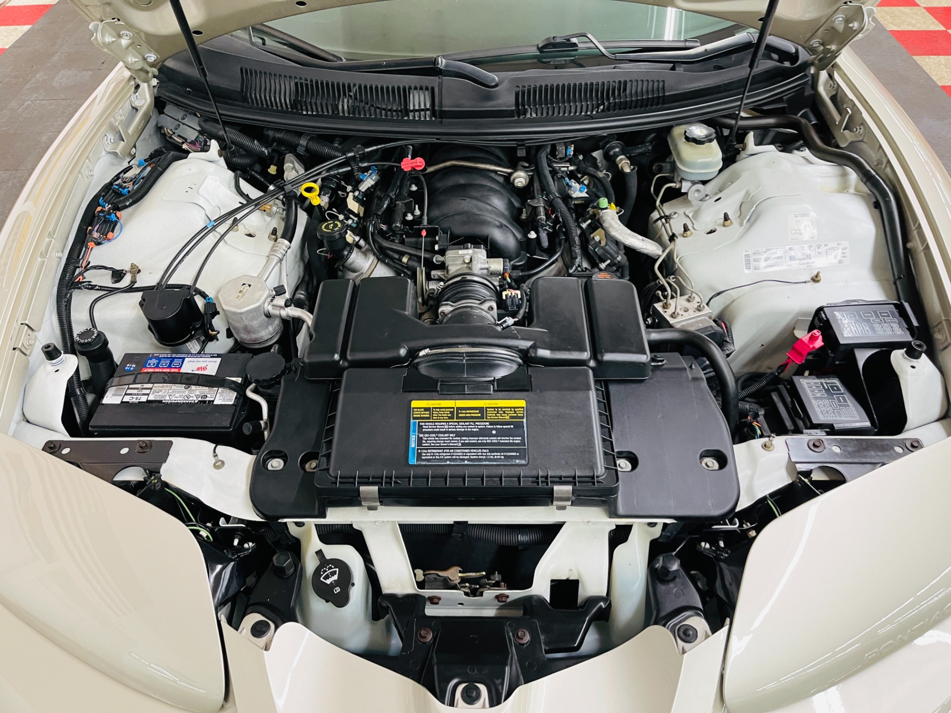Used 2002 Pontiac Firebird - TRANS AM - CONVERTIBLE - NEW PAINT - SEE VIDEO | St. Petersburg, FL