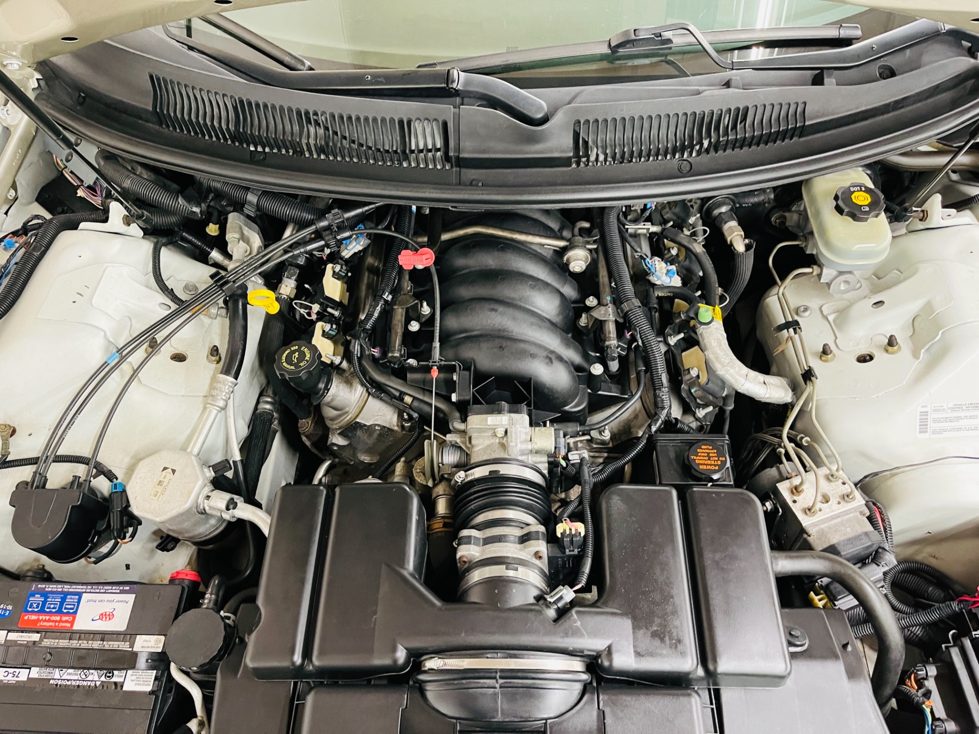 Used 2002 Pontiac Firebird - TRANS AM - CONVERTIBLE - NEW PAINT - SEE VIDEO | St. Petersburg, FL