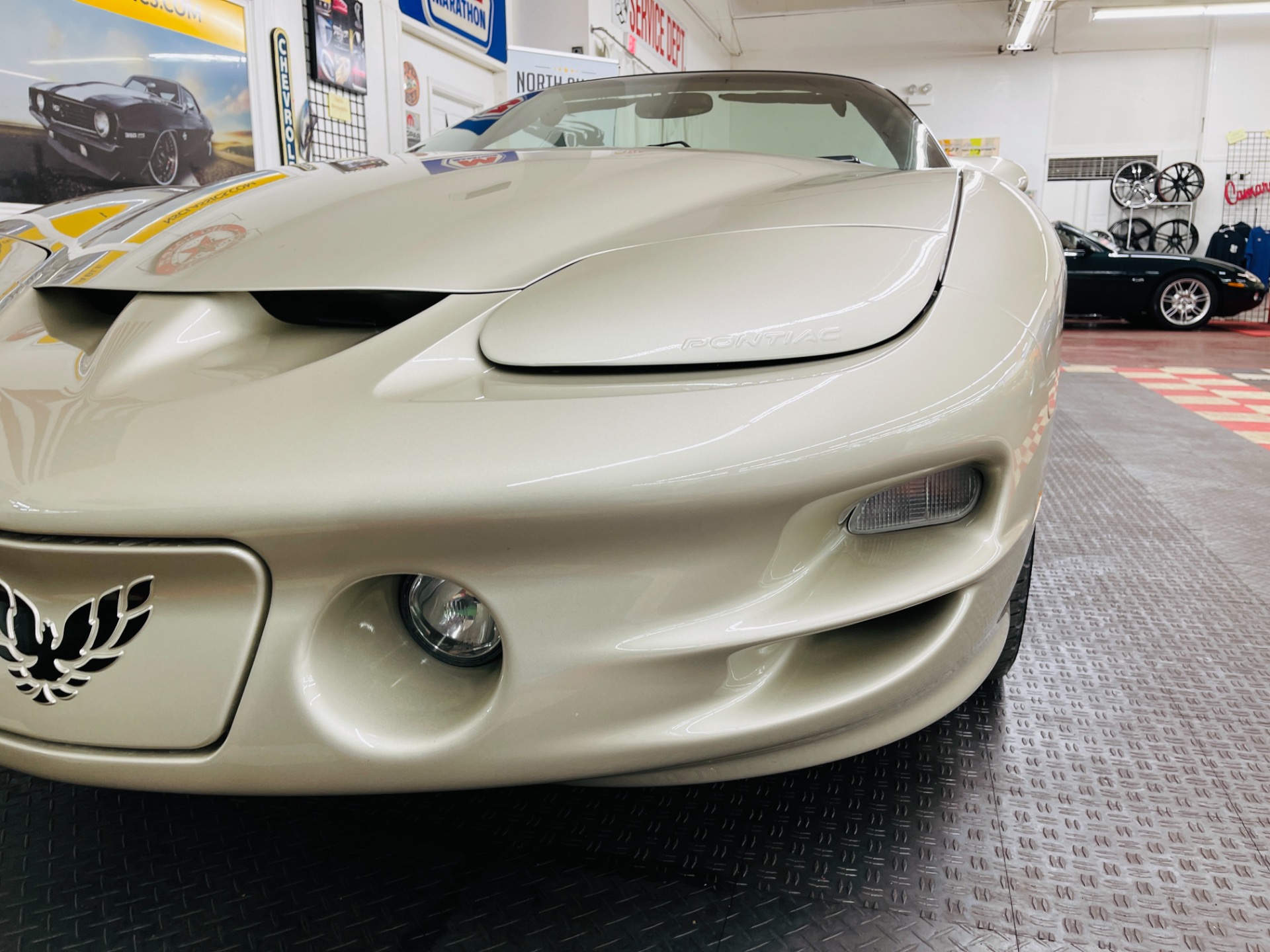 Used 2002 Pontiac Firebird - TRANS AM - CONVERTIBLE - NEW PAINT - SEE VIDEO | St. Petersburg, FL