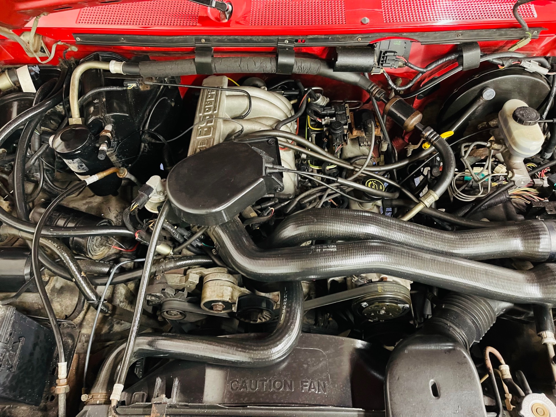Used 1990 Ford Bronco XLT - SEE VIDEO | St. Petersburg, FL