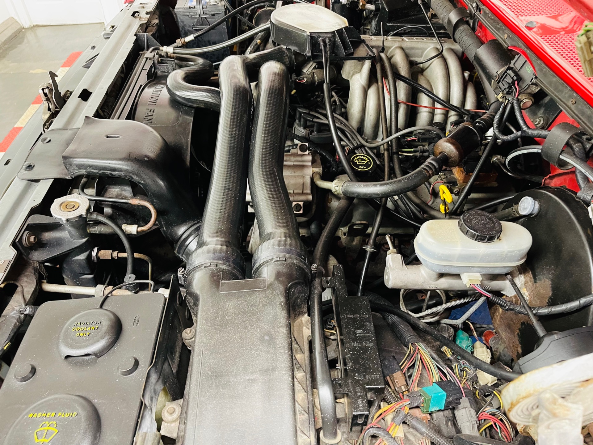 Used 1990 Ford Bronco XLT - SEE VIDEO | St. Petersburg, FL