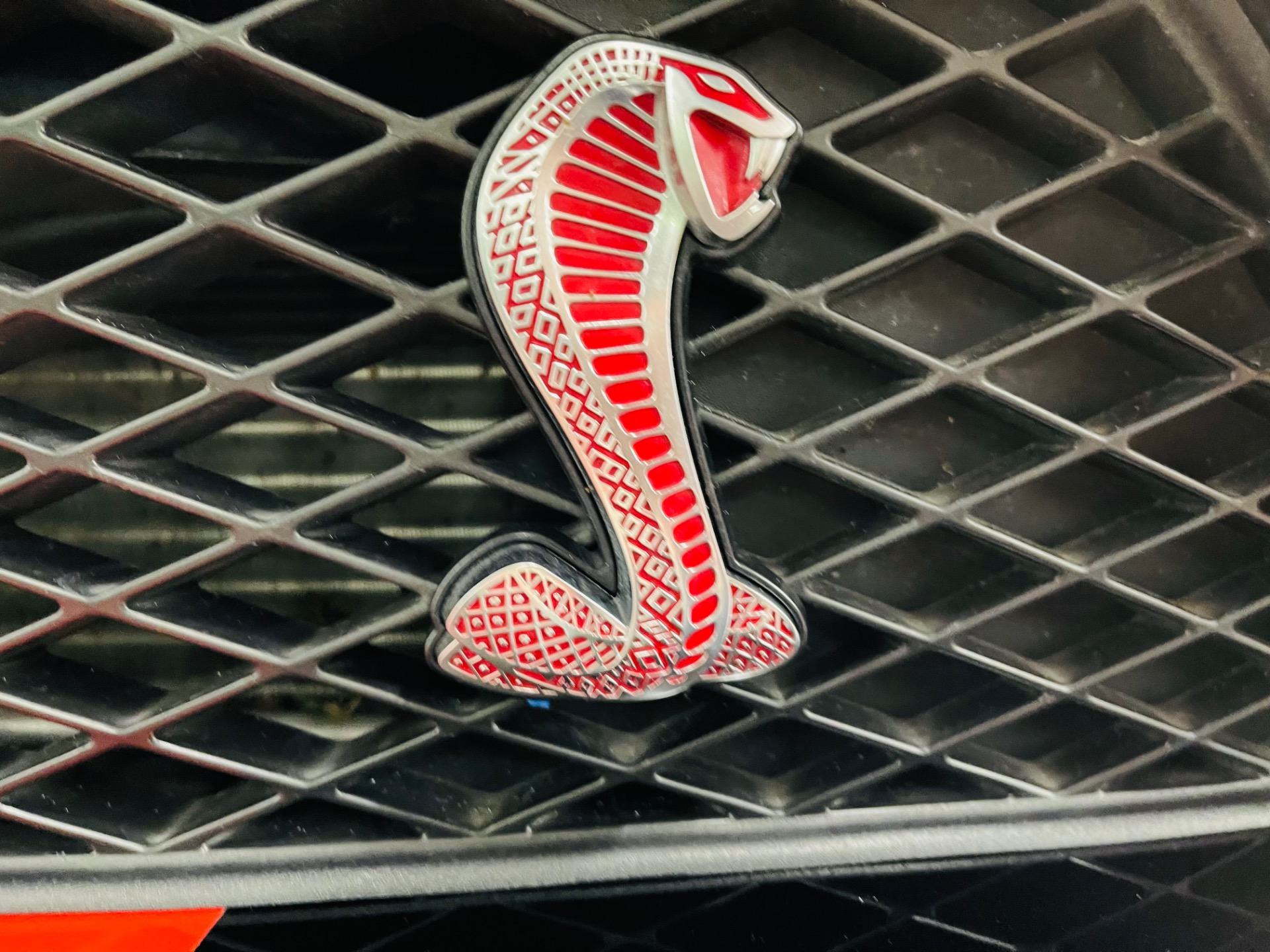 Used 2008 Ford Shelby GT500 Low Mile Convertible - SEE VIDEO | St. Petersburg, FL