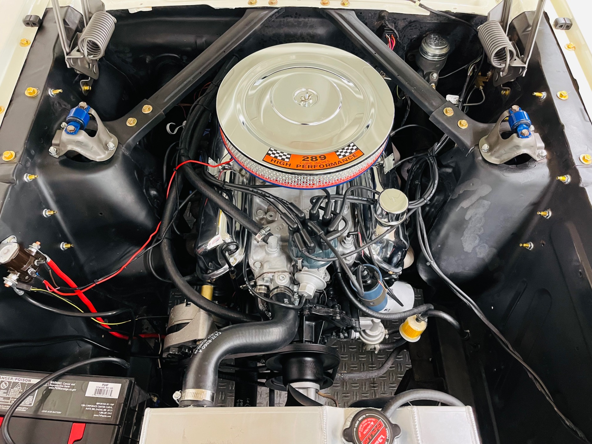 Used 1965 Ford Mustang Shelby GT 350 Tribute | St. Petersburg, FL