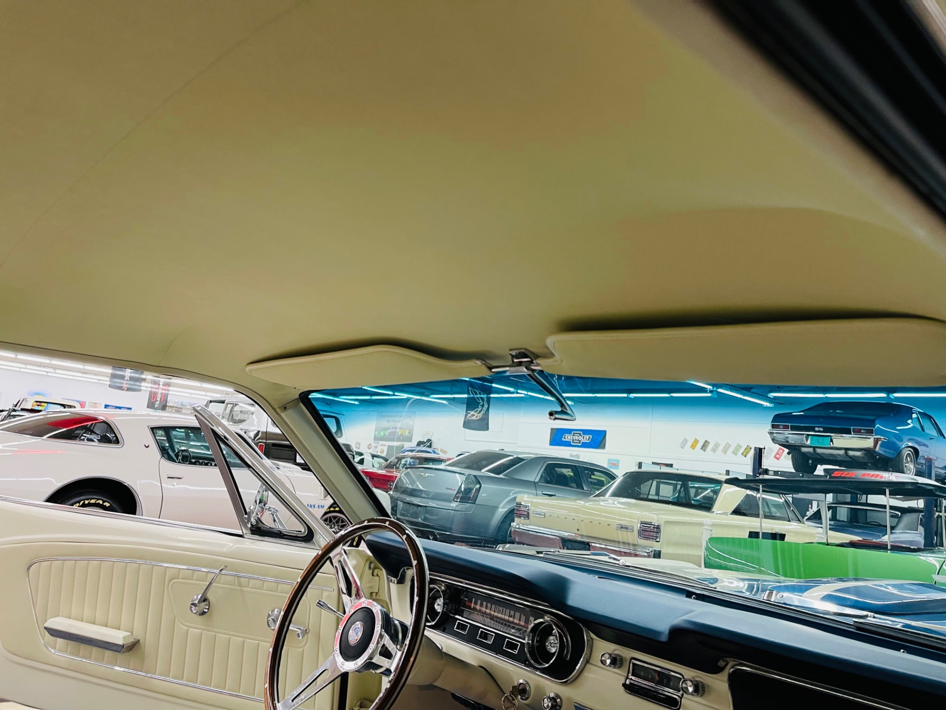Used 1965 Ford Mustang Shelby GT 350 Tribute | St. Petersburg, FL