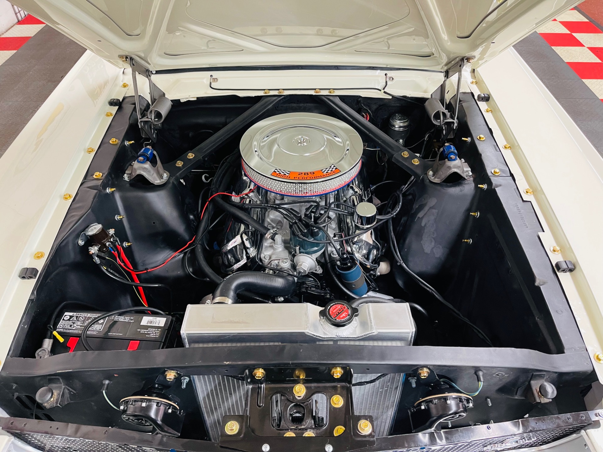 Used 1965 Ford Mustang Shelby GT 350 Tribute | St. Petersburg, FL