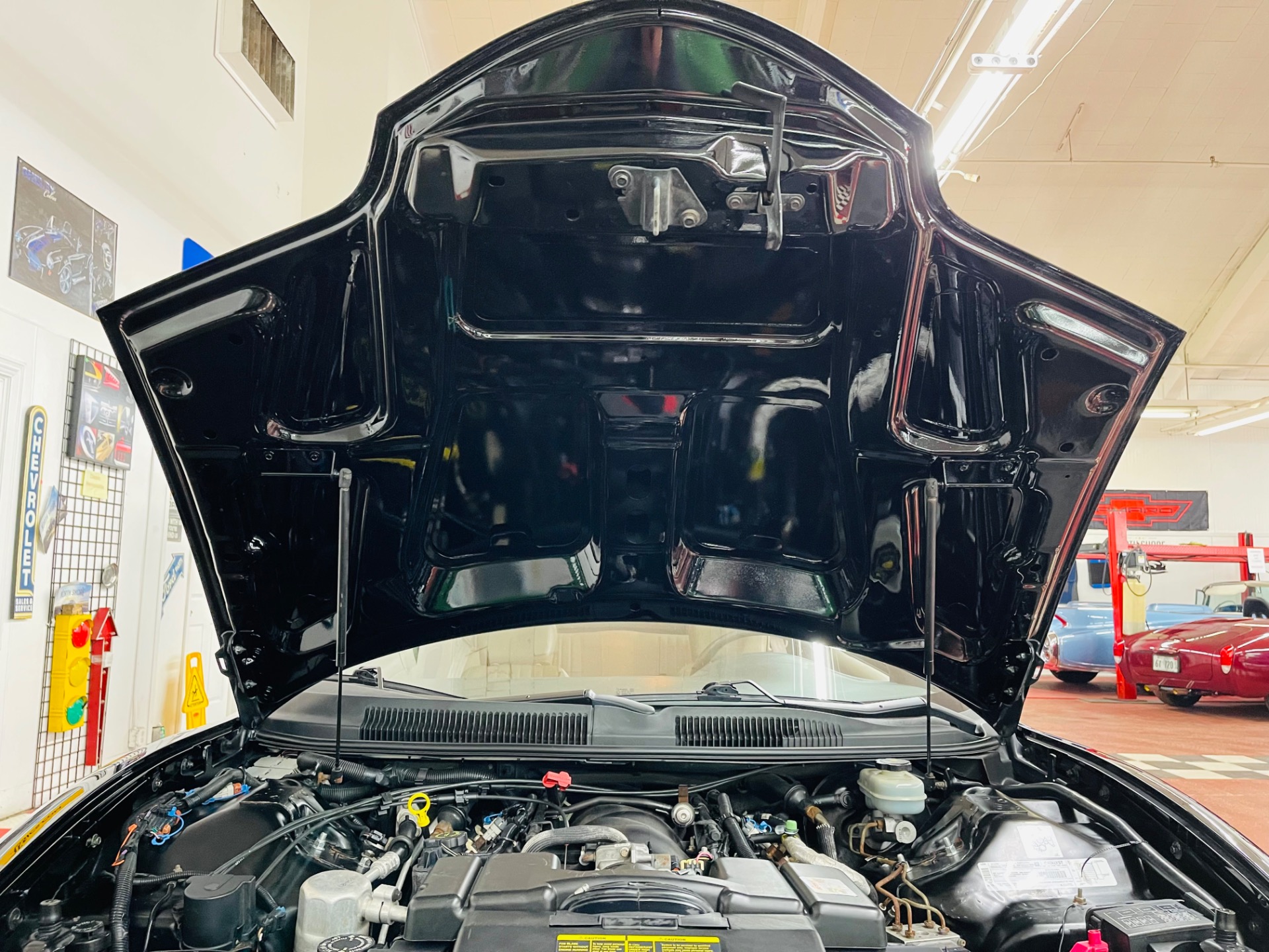Used 1999 Pontiac Firebird - TRANS AM - CUSTOM PAINT - T-TOPS - AUTO TRANS - SEE VIDEO | Mundelein, IL