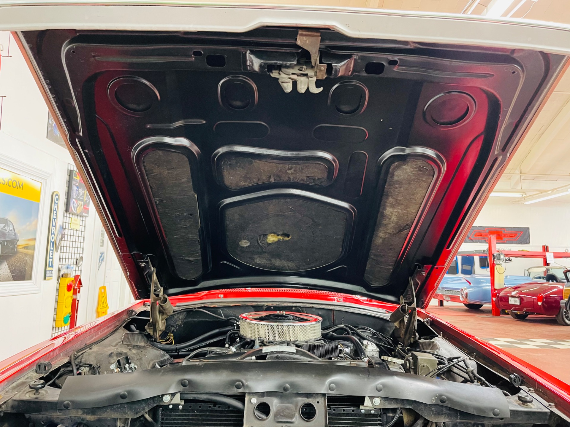 Used 1969 Ford Thunderbird Nicely Restored Bird - SEE VIDEO | St. Petersburg, FL