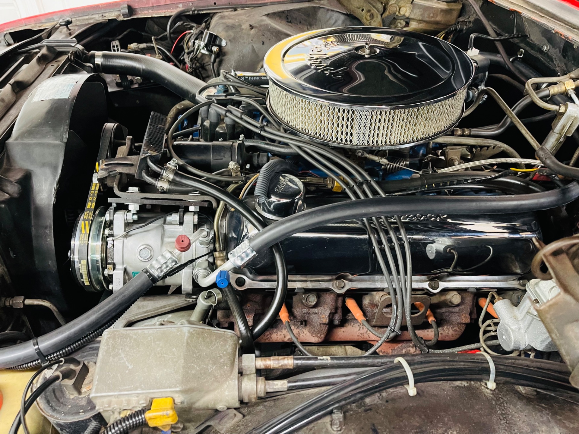 Used 1969 Ford Thunderbird Nicely Restored Bird - SEE VIDEO | St. Petersburg, FL
