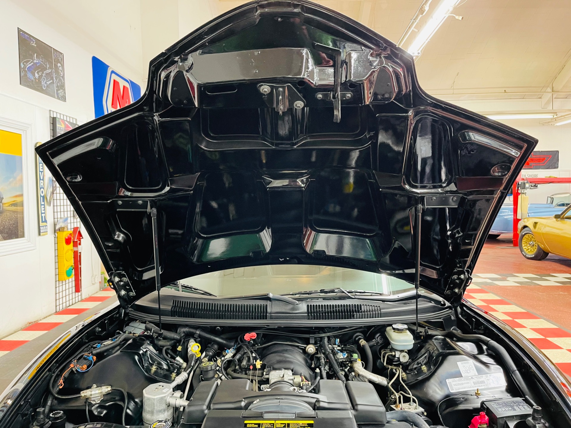 Used 2001 Pontiac Firebird TRANS AM WS6 - SEE VIDEO | Mundelein, IL