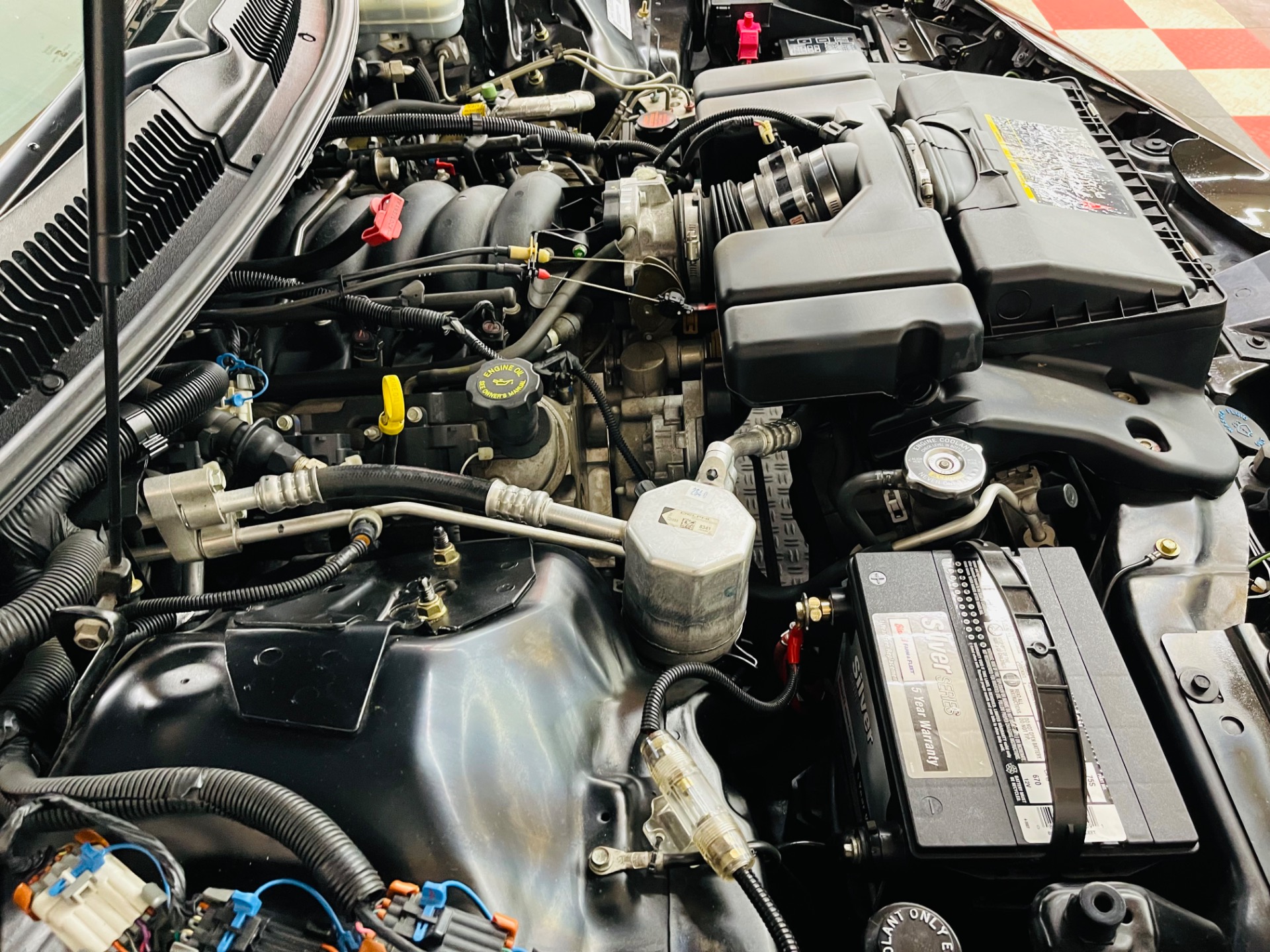 Used 2001 Pontiac Firebird TRANS AM WS6 - SEE VIDEO | Mundelein, IL