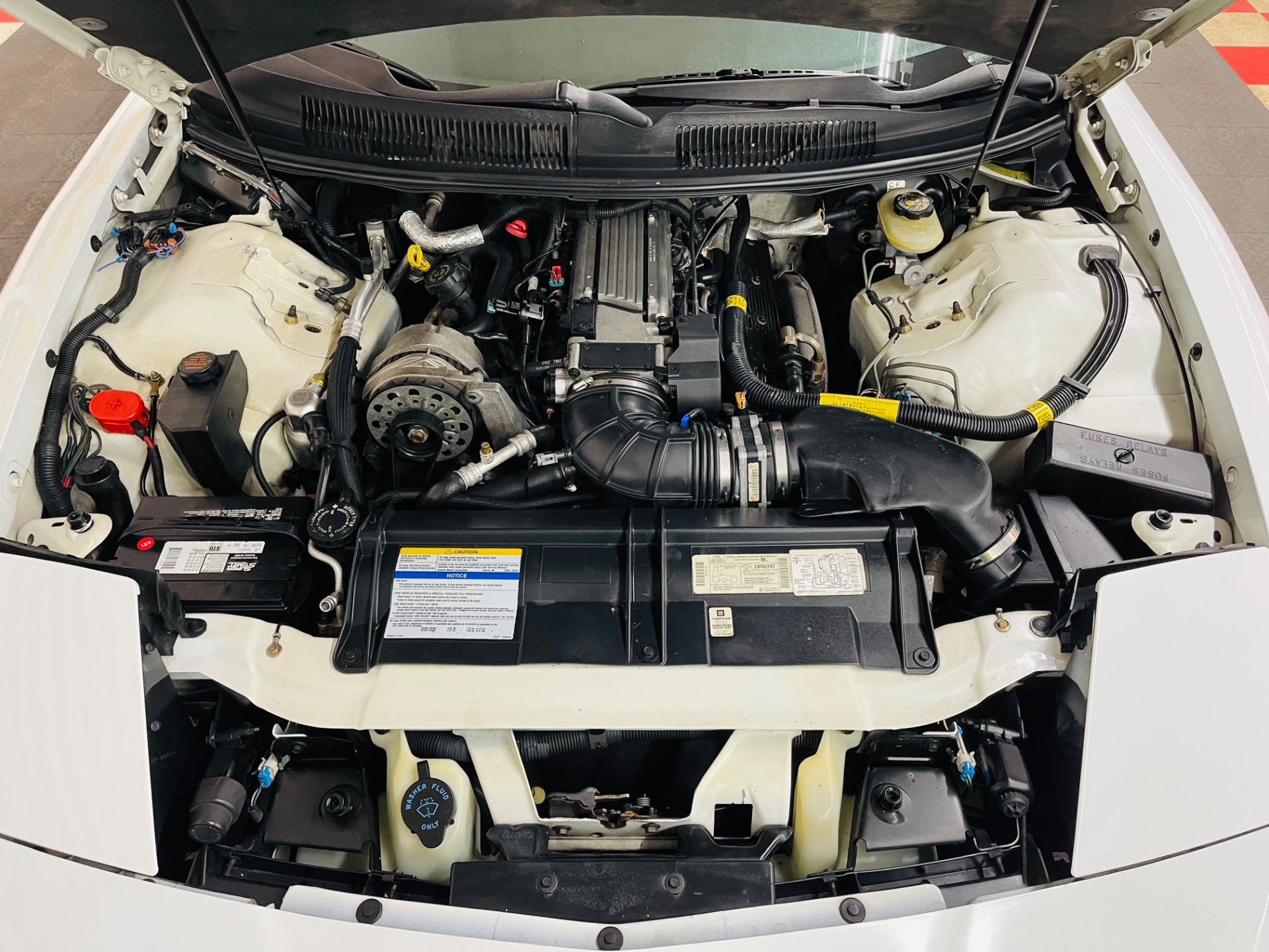 Used 1997 Pontiac Firebird - TRANS AM - T-TOPS - SEE VIDEO | St. Petersburg, FL