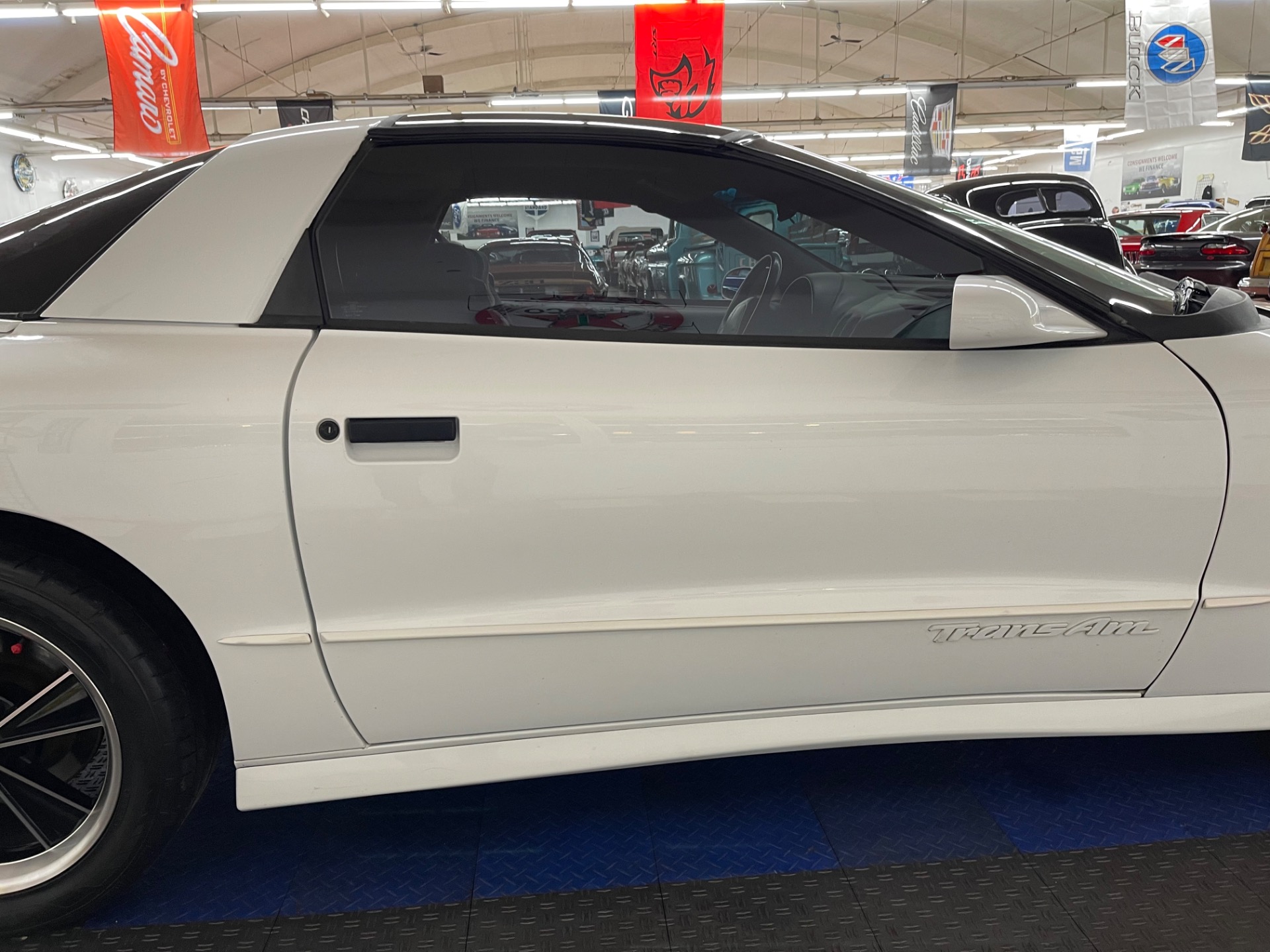 Used 1997 Pontiac Firebird - TRANS AM - T-TOPS - SEE VIDEO | St. Petersburg, FL