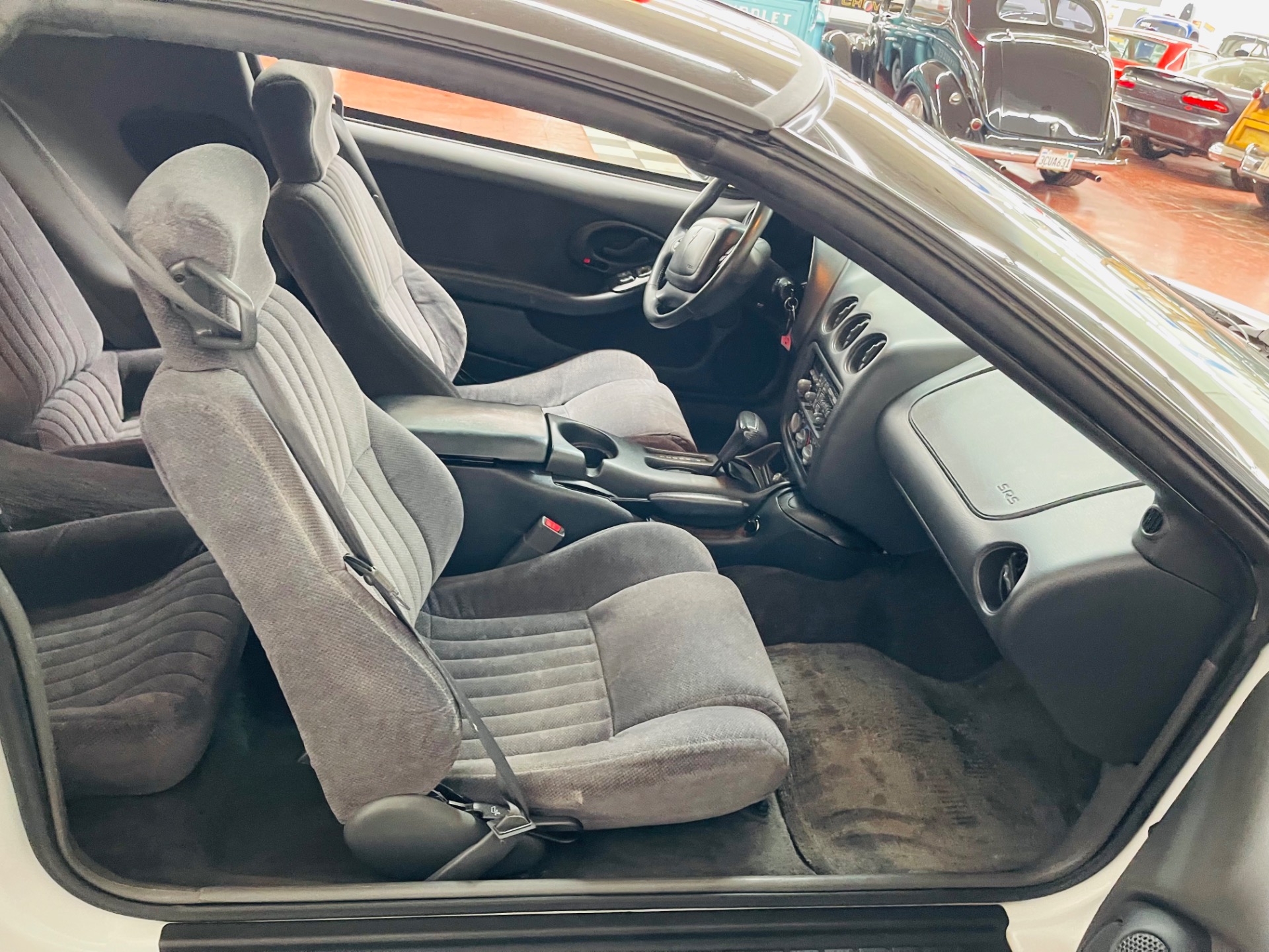 Used 1997 Pontiac Firebird - TRANS AM - T-TOPS - SEE VIDEO | St. Petersburg, FL