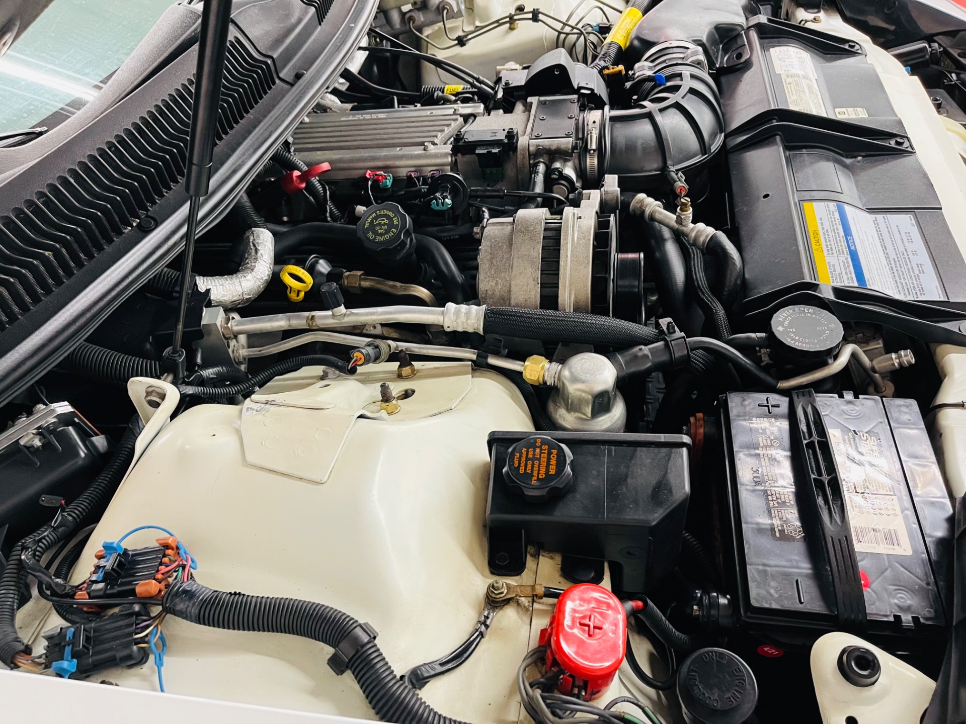 Used 1997 Pontiac Firebird - TRANS AM - T-TOPS - SEE VIDEO | St. Petersburg, FL