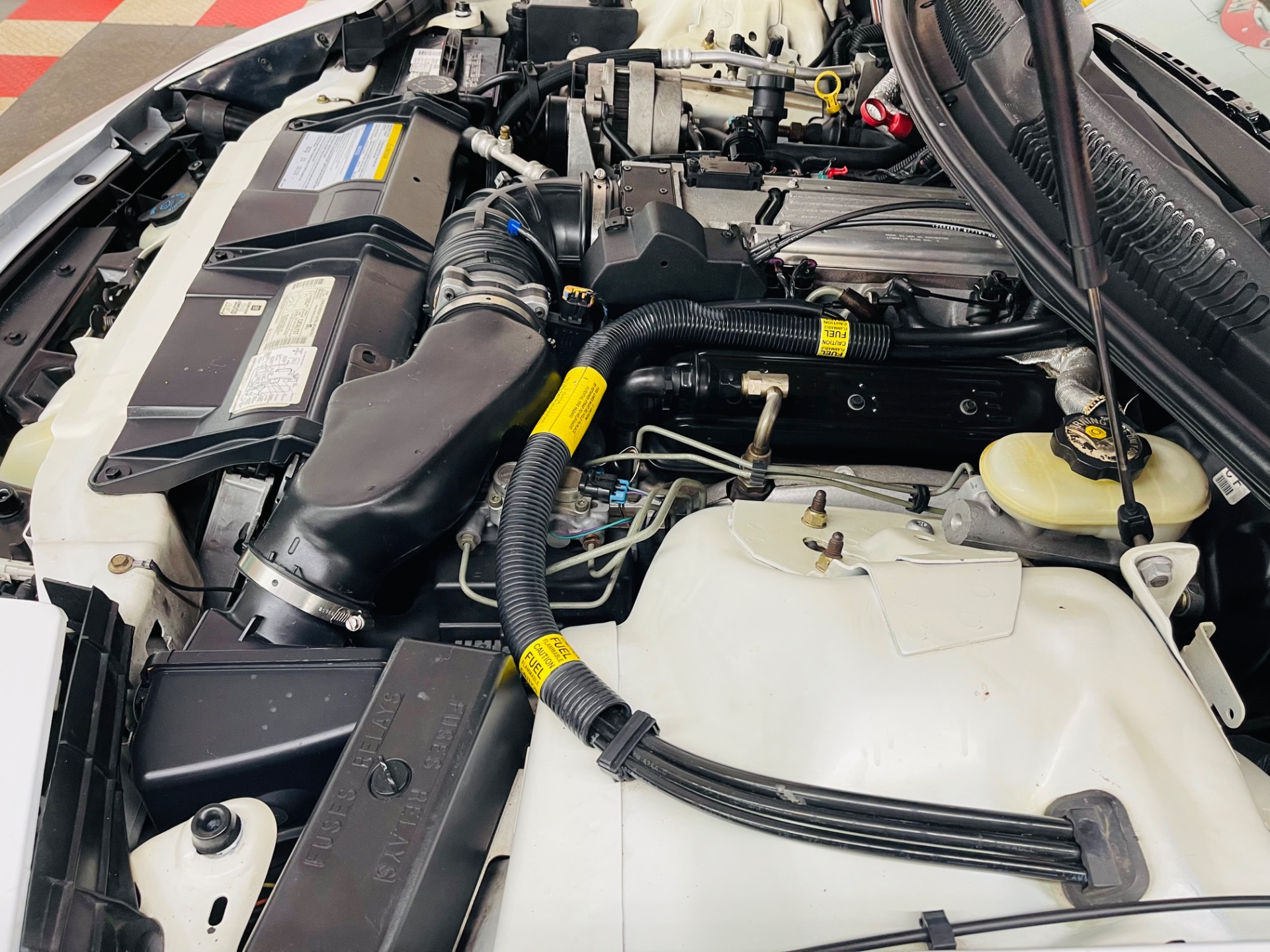 Used 1997 Pontiac Firebird - TRANS AM - T-TOPS - SEE VIDEO | St. Petersburg, FL