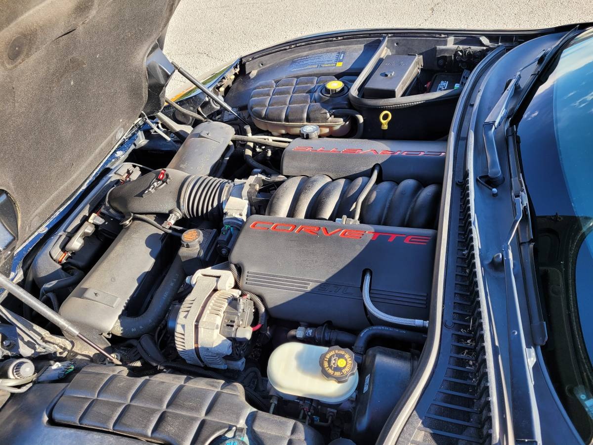 Used 1999 Chevrolet Corvette Convertible | St. Petersburg, FL