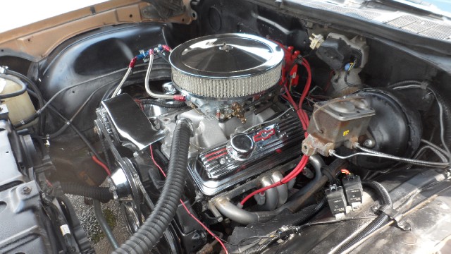 Used 1975 Oldsmobile Cutlass Supreme-SEE VIDEO | Mundelein, IL