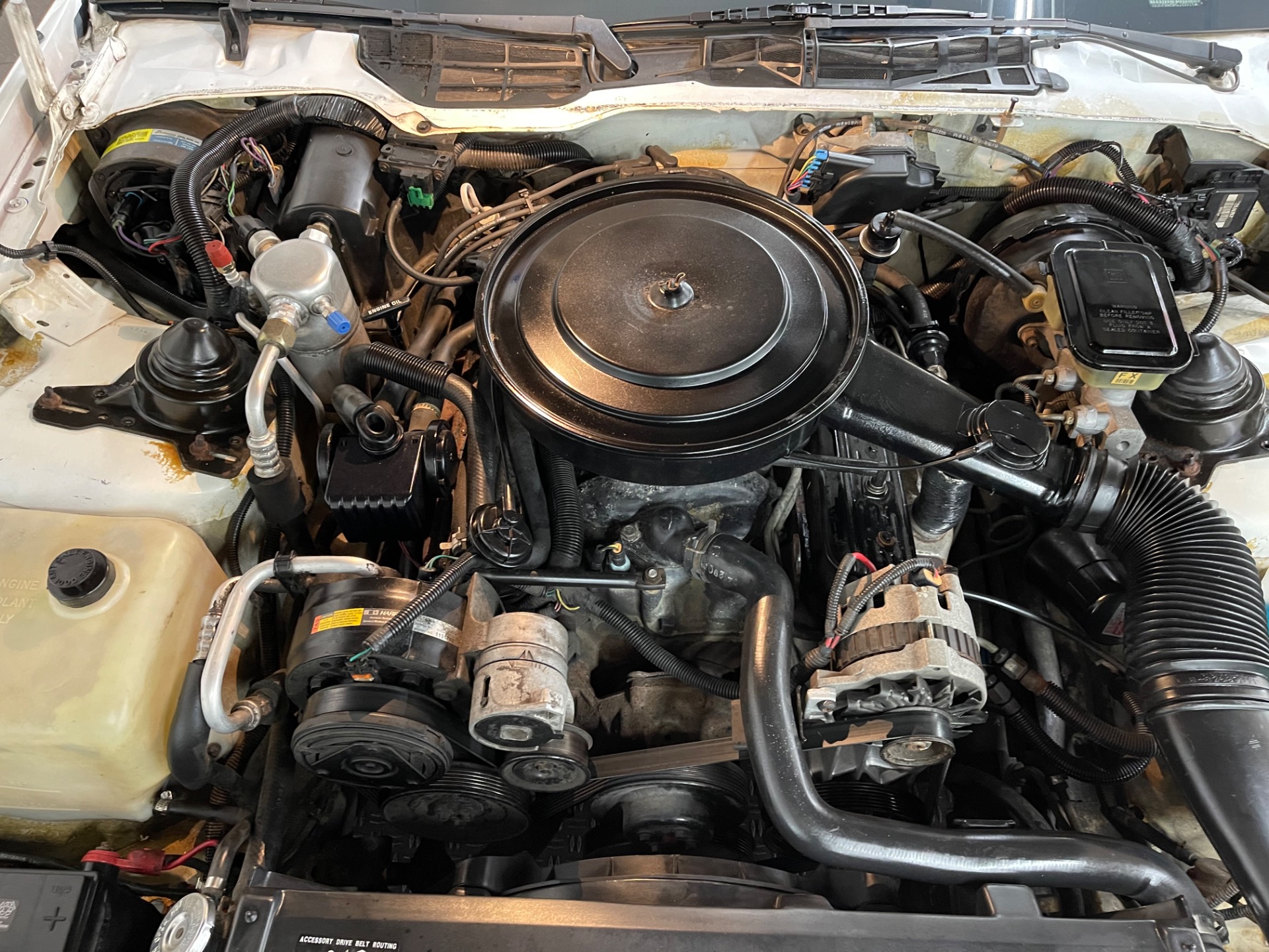Used 1991 Chevrolet Camaro - RS - CONVERTIBLE - SEE VIDEO | St. Petersburg, FL