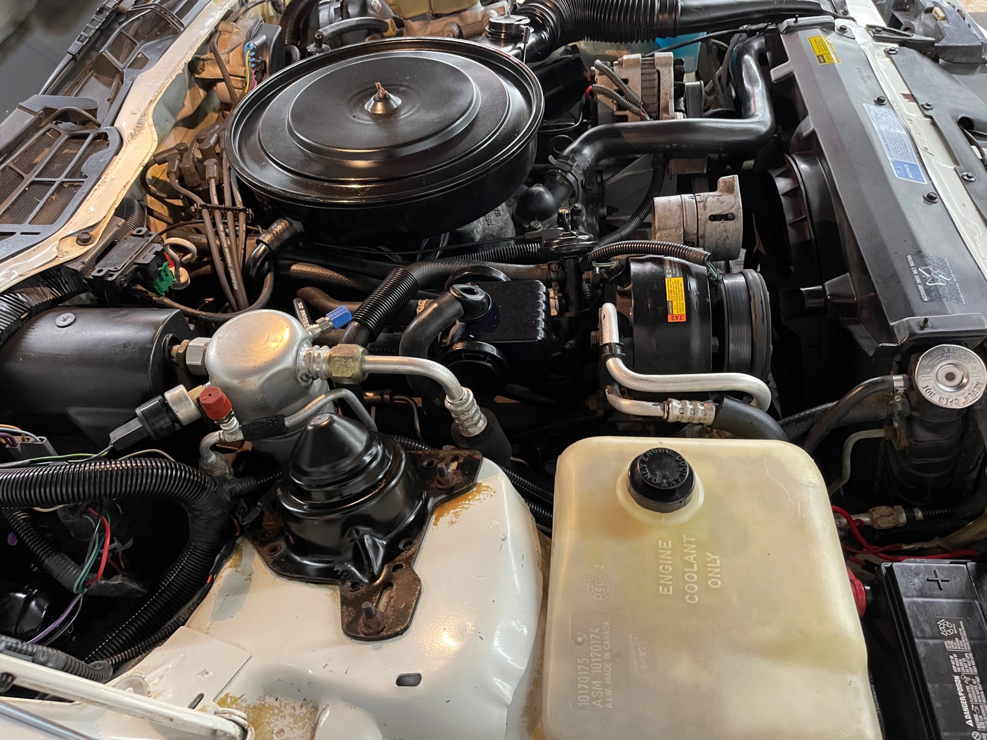 Used 1991 Chevrolet Camaro - RS - CONVERTIBLE - SEE VIDEO | St. Petersburg, FL