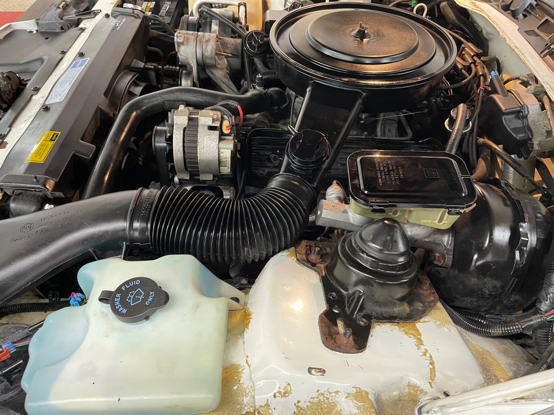 Used 1991 Chevrolet Camaro - RS - CONVERTIBLE - SEE VIDEO | St. Petersburg, FL