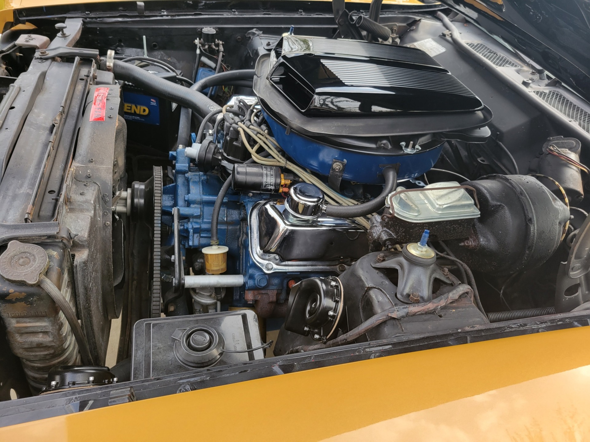Used 1970 Ford Torino - COBRA - NUMBERS MATCHING 429 ENGINE - 4 SPEED TRANS - SEE VIDEO | St. Petersburg, FL