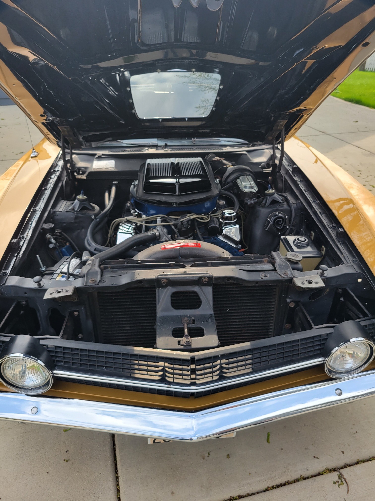 Used 1970 Ford Torino - COBRA - NUMBERS MATCHING 429 ENGINE - 4 SPEED TRANS - SEE VIDEO | St. Petersburg, FL