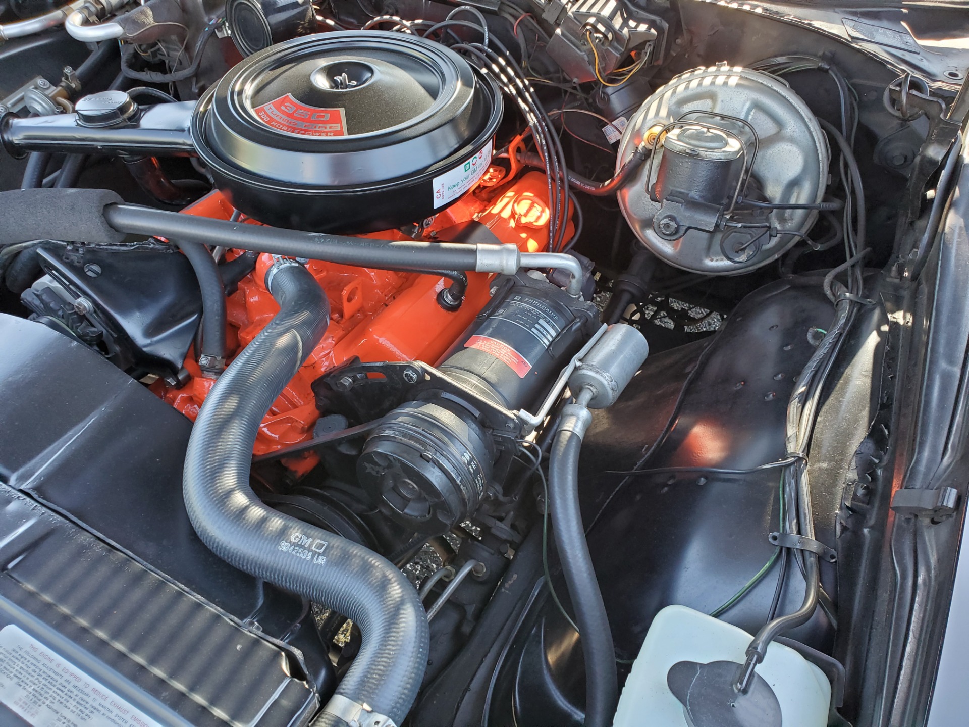 Used 1969 Chevrolet Chevelle - RARE 300HP 350 - FACTORY CODE 10 RAVEN BLACK | St. Petersburg, FL