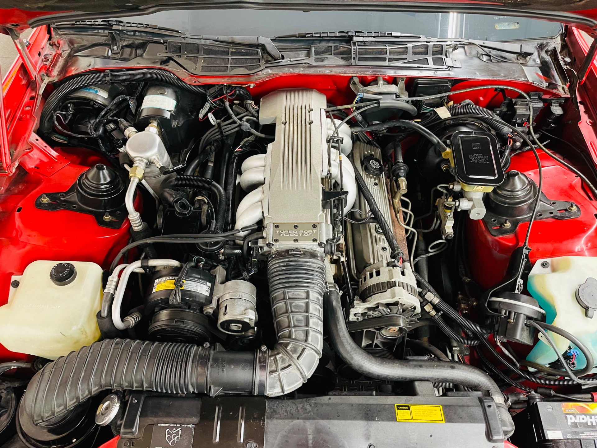 Used 1988 Pontiac Firebird 1 Owner All Original Trans Am GTA - SEE VIDEO | St. Petersburg, FL