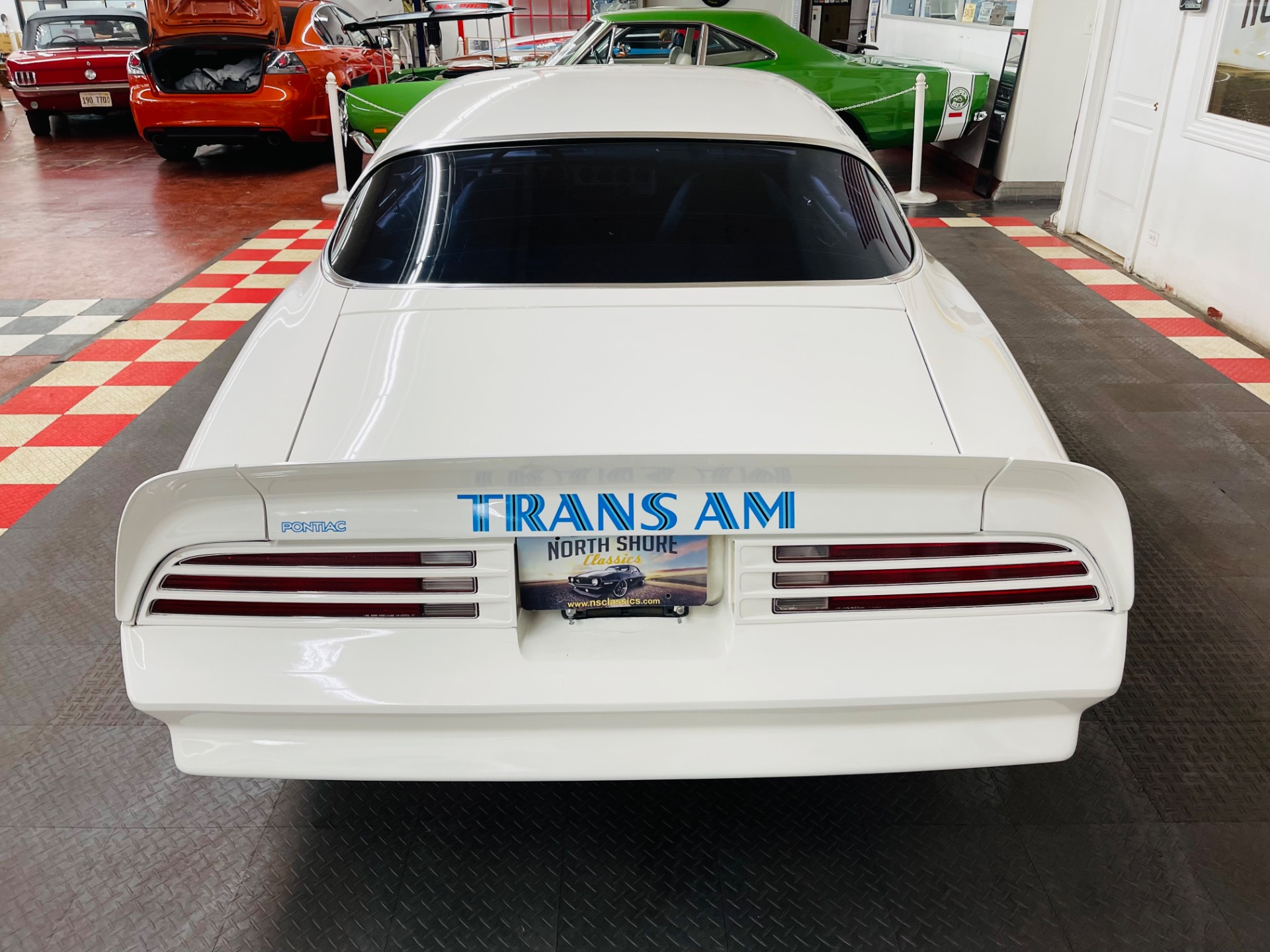 Used 1976 Pontiac Firebird - TRANS AM - VERY CLEAN - SEE VIDEO | St. Petersburg, FL
