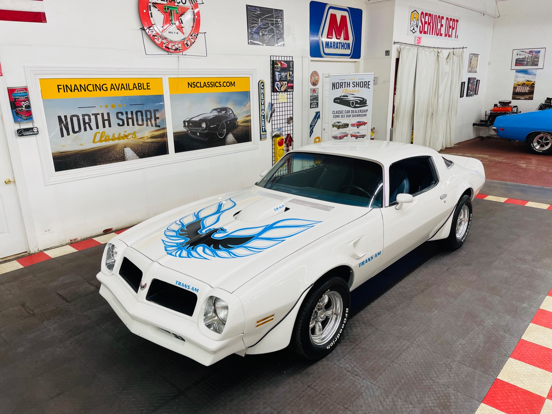 Used 1976 Pontiac Firebird - TRANS AM - VERY CLEAN - SEE VIDEO | St. Petersburg, FL