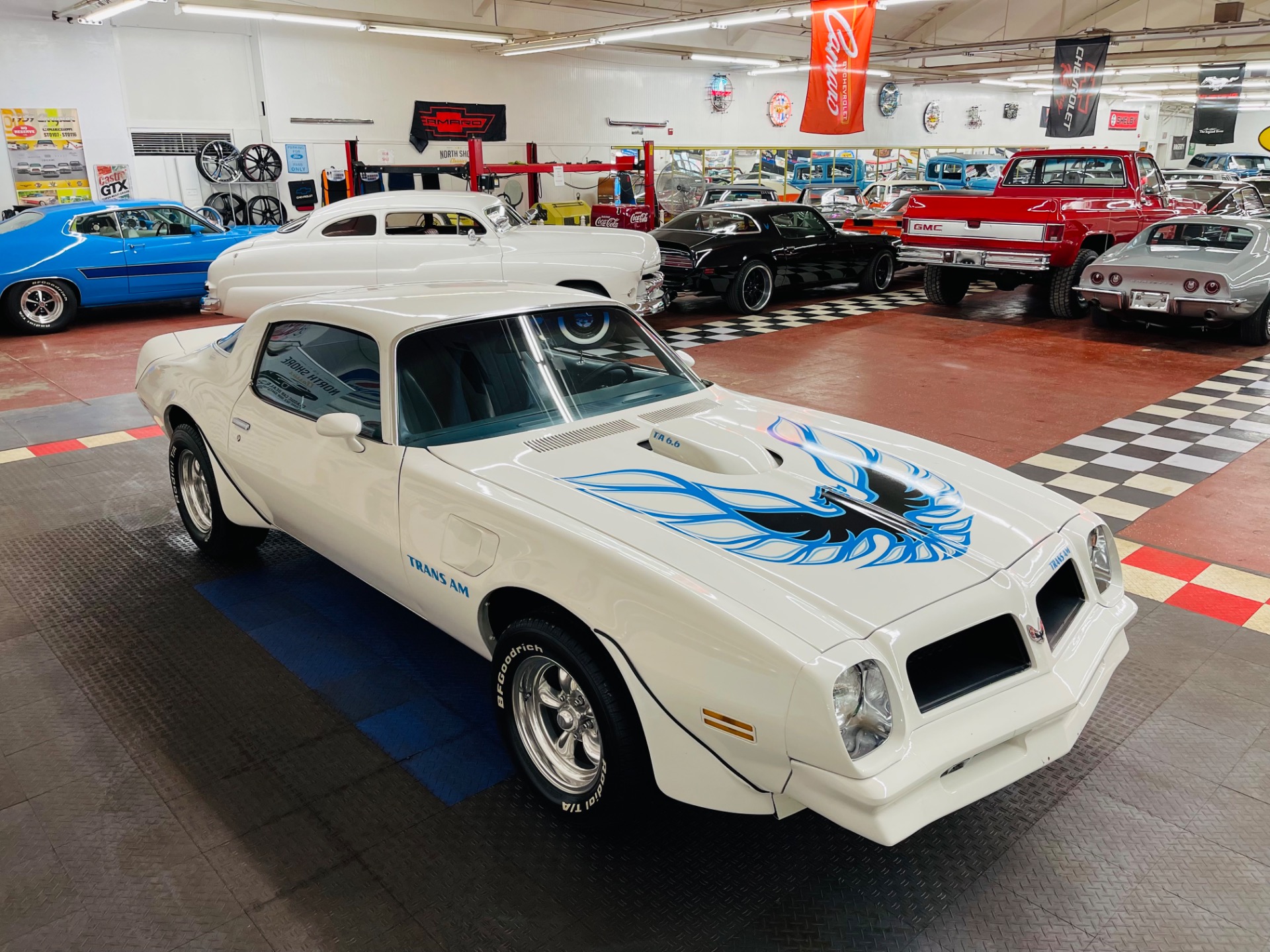 Used 1976 Pontiac Firebird - TRANS AM - VERY CLEAN - SEE VIDEO | St. Petersburg, FL