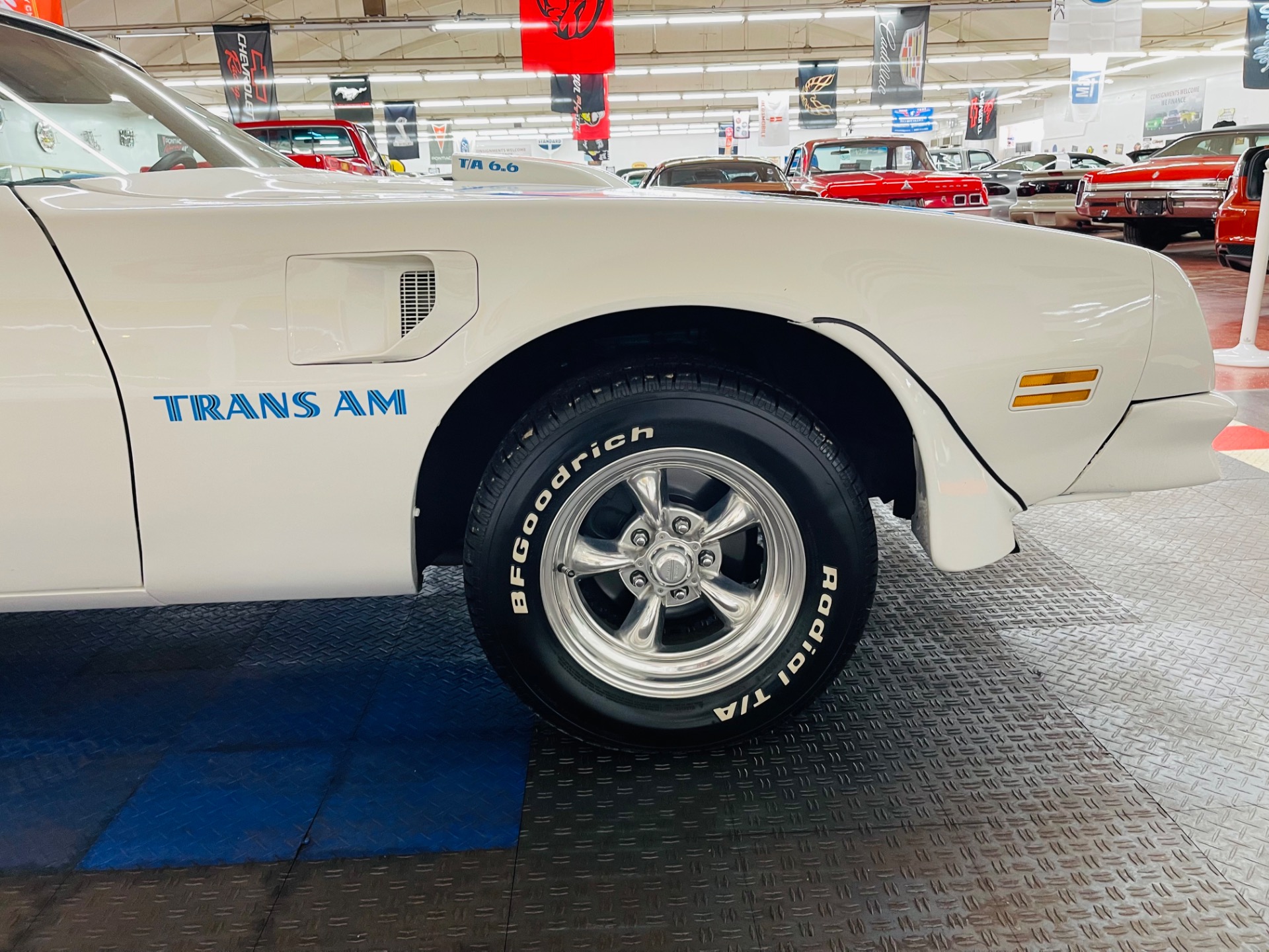 Used 1976 Pontiac Firebird - TRANS AM - VERY CLEAN - SEE VIDEO | St. Petersburg, FL