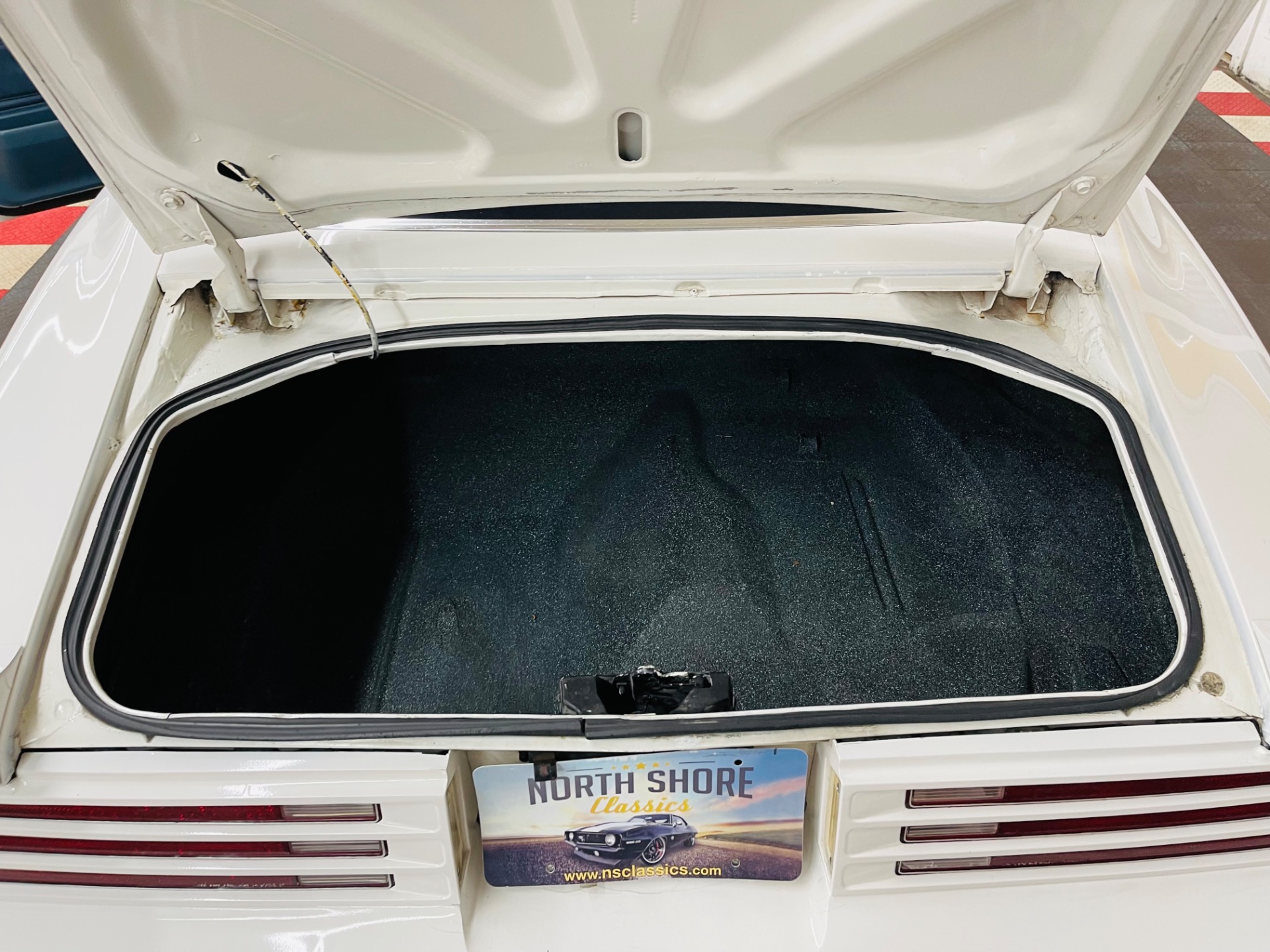 Used 1976 Pontiac Firebird - TRANS AM - VERY CLEAN - SEE VIDEO | St. Petersburg, FL