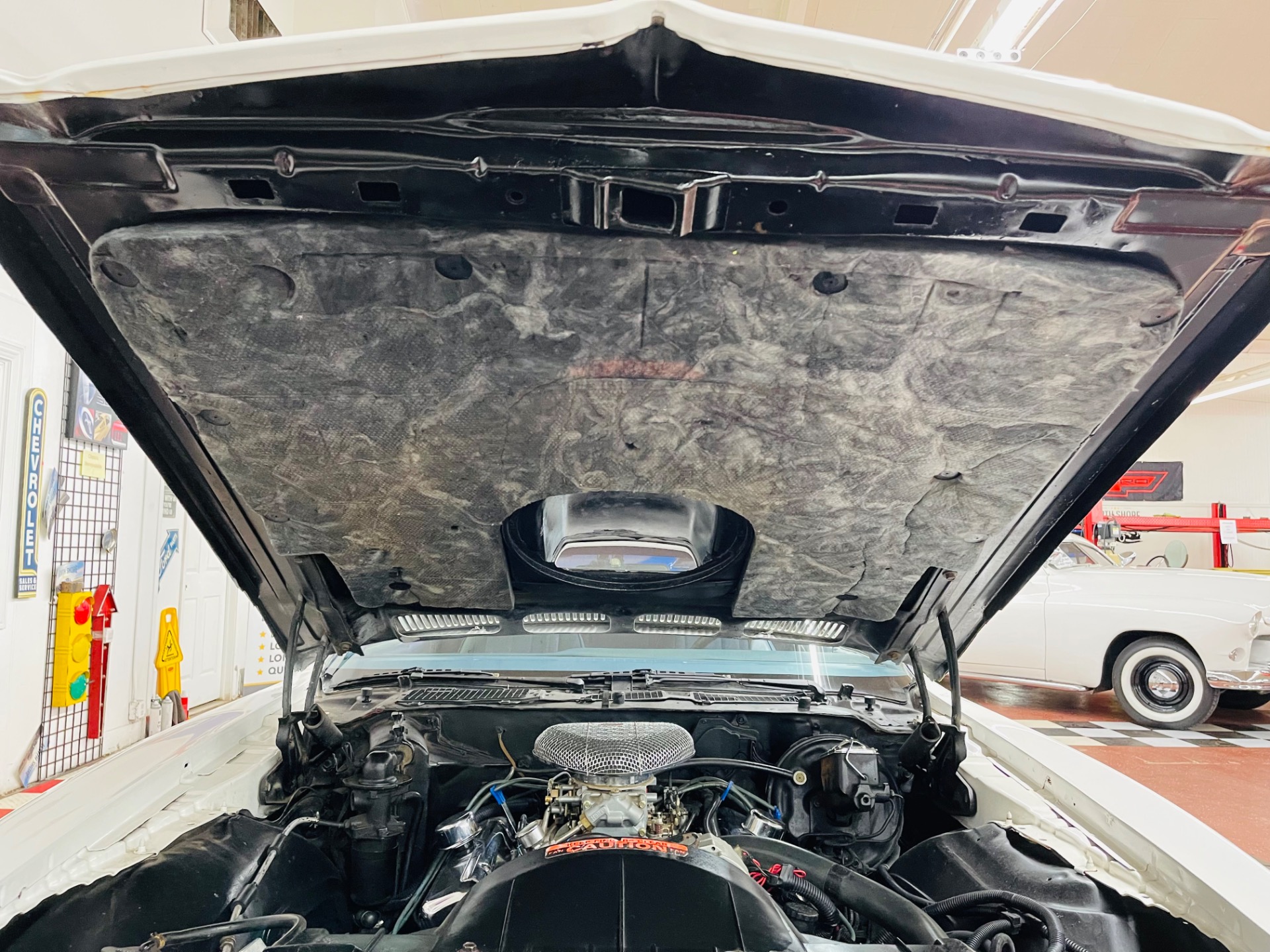 Used 1976 Pontiac Firebird - TRANS AM - VERY CLEAN - SEE VIDEO | St. Petersburg, FL