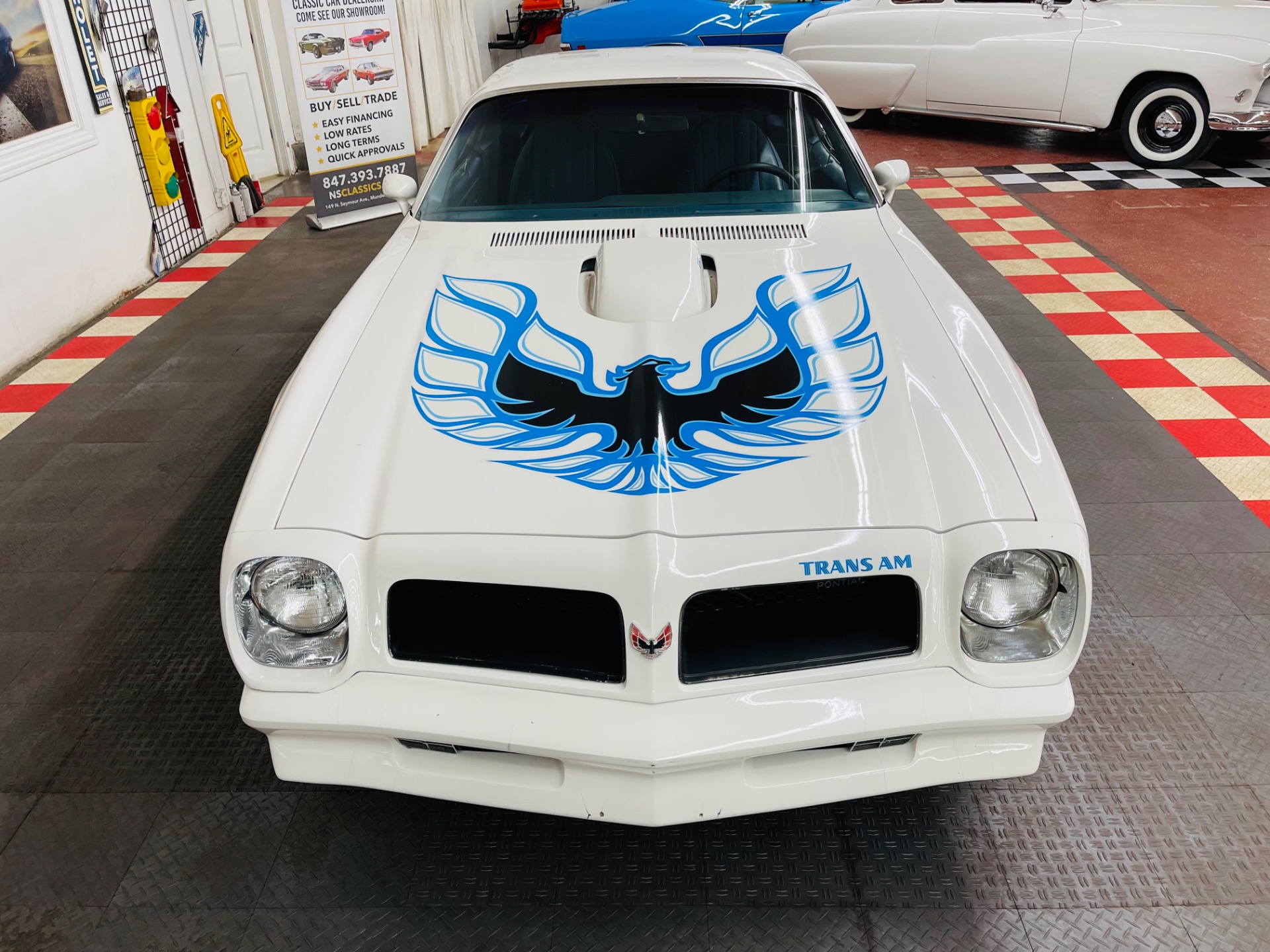 Used 1976 Pontiac Firebird - TRANS AM - VERY CLEAN - SEE VIDEO | St. Petersburg, FL