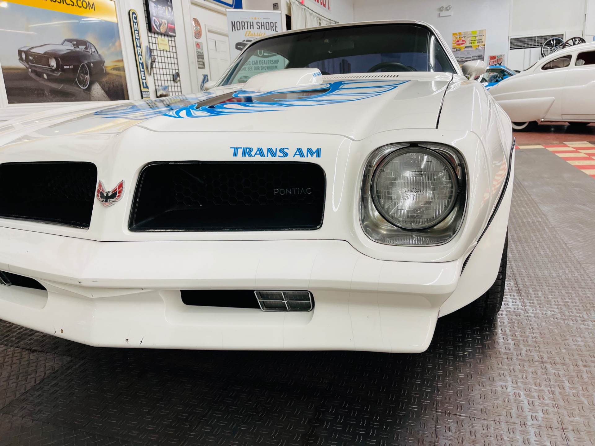 Used 1976 Pontiac Firebird - TRANS AM - VERY CLEAN - SEE VIDEO | St. Petersburg, FL