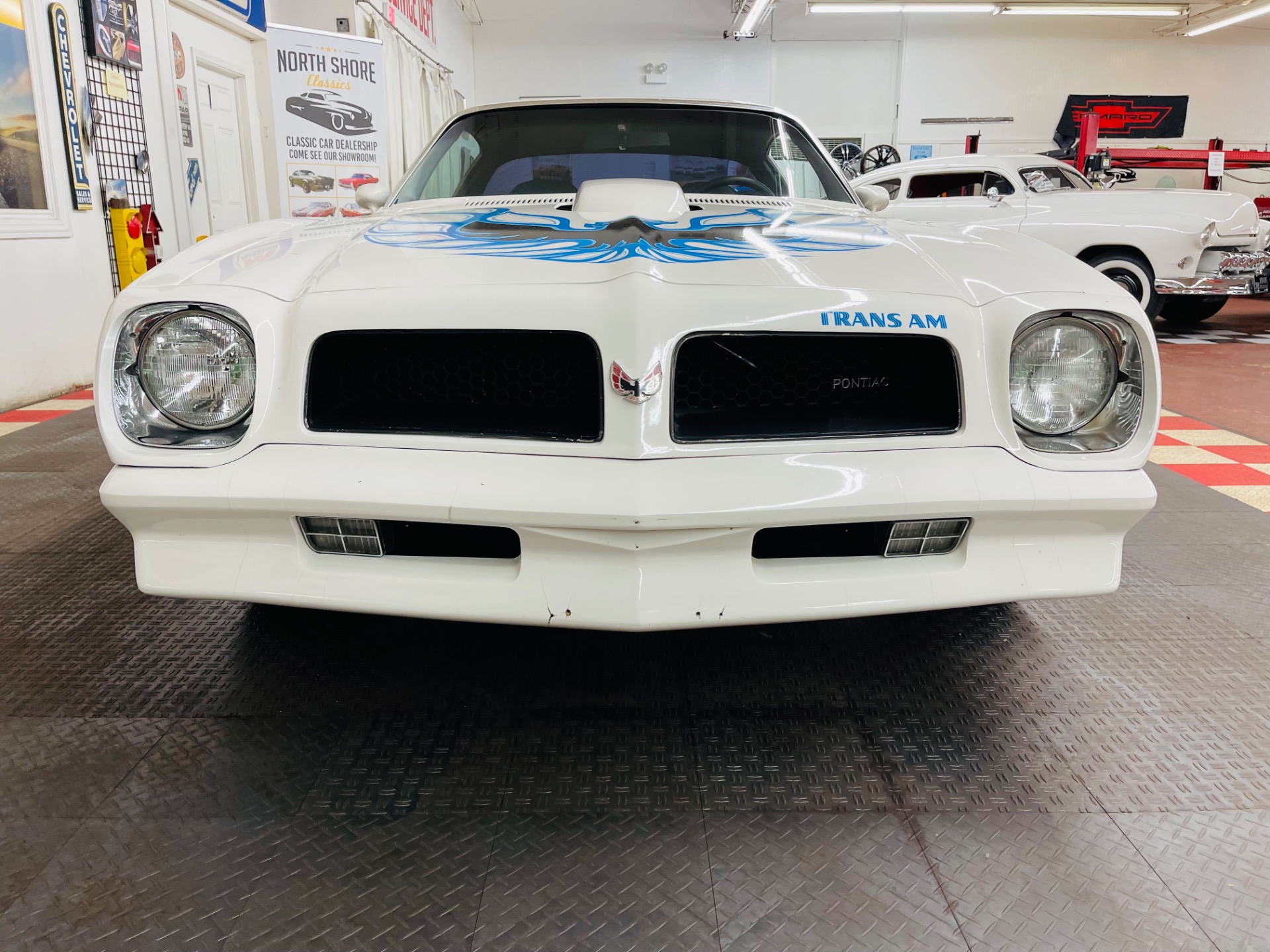 Used 1976 Pontiac Firebird - TRANS AM - VERY CLEAN - SEE VIDEO | St. Petersburg, FL
