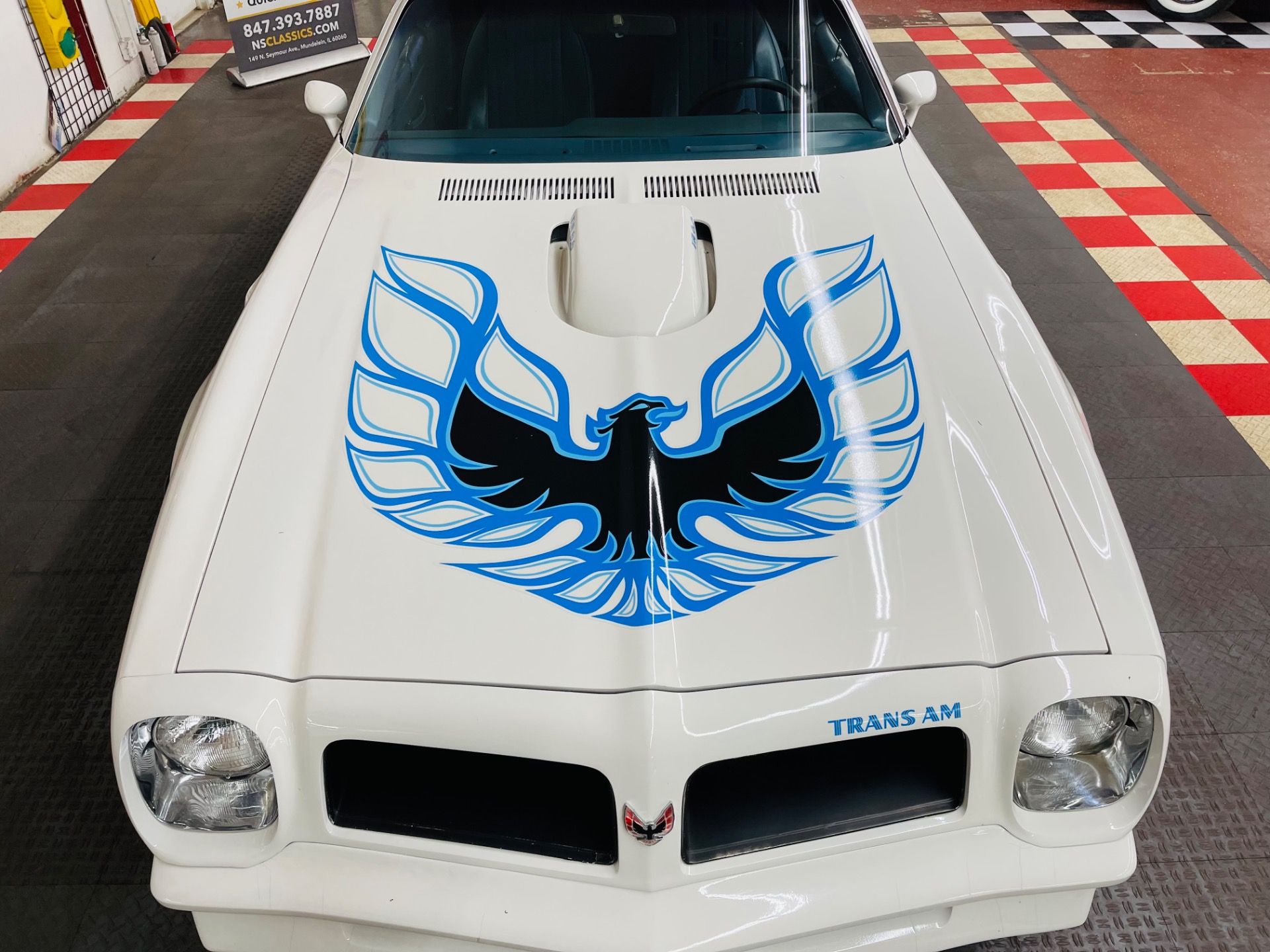 Used 1976 Pontiac Firebird - TRANS AM - VERY CLEAN - SEE VIDEO | St. Petersburg, FL