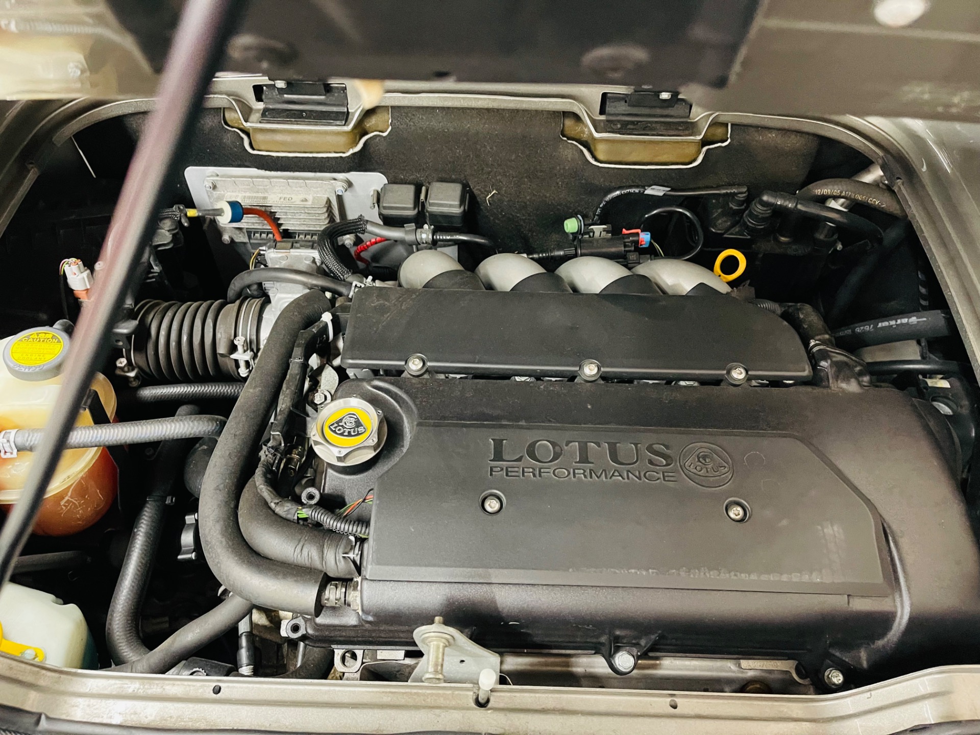 Used 2006 Lotus Elise - FUN DRIVING EXOTIC - SEE VIDEO | St. Petersburg, FL
