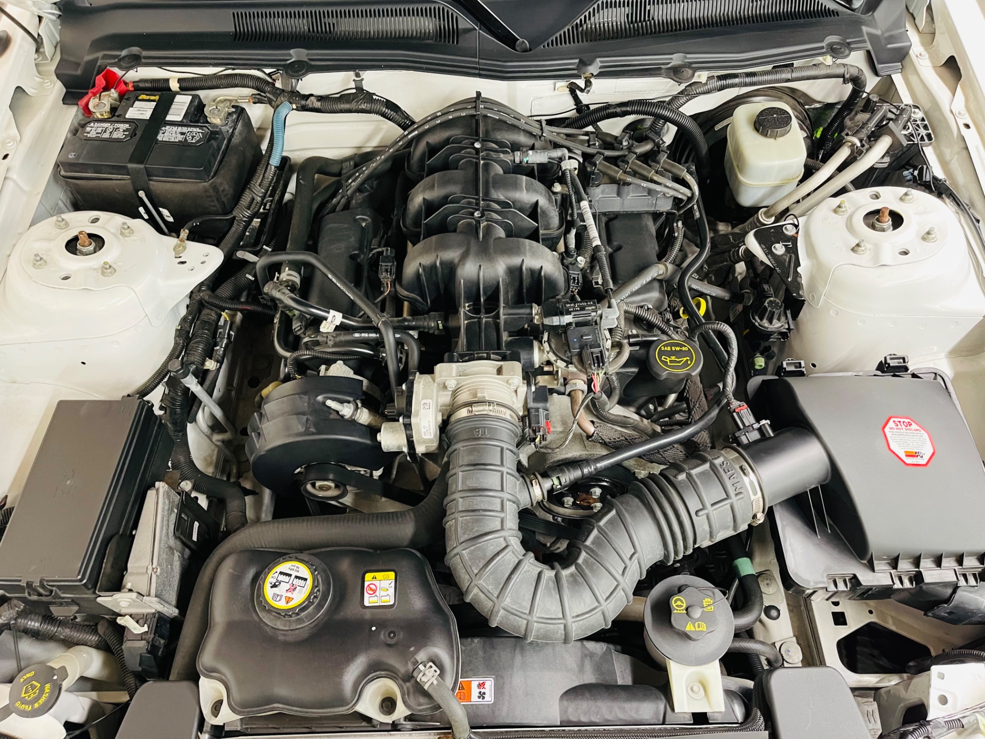 Used 2005 Ford Mustang V6 Deluxe GT 350 Tribute - SEE VIDEO | St. Petersburg, FL