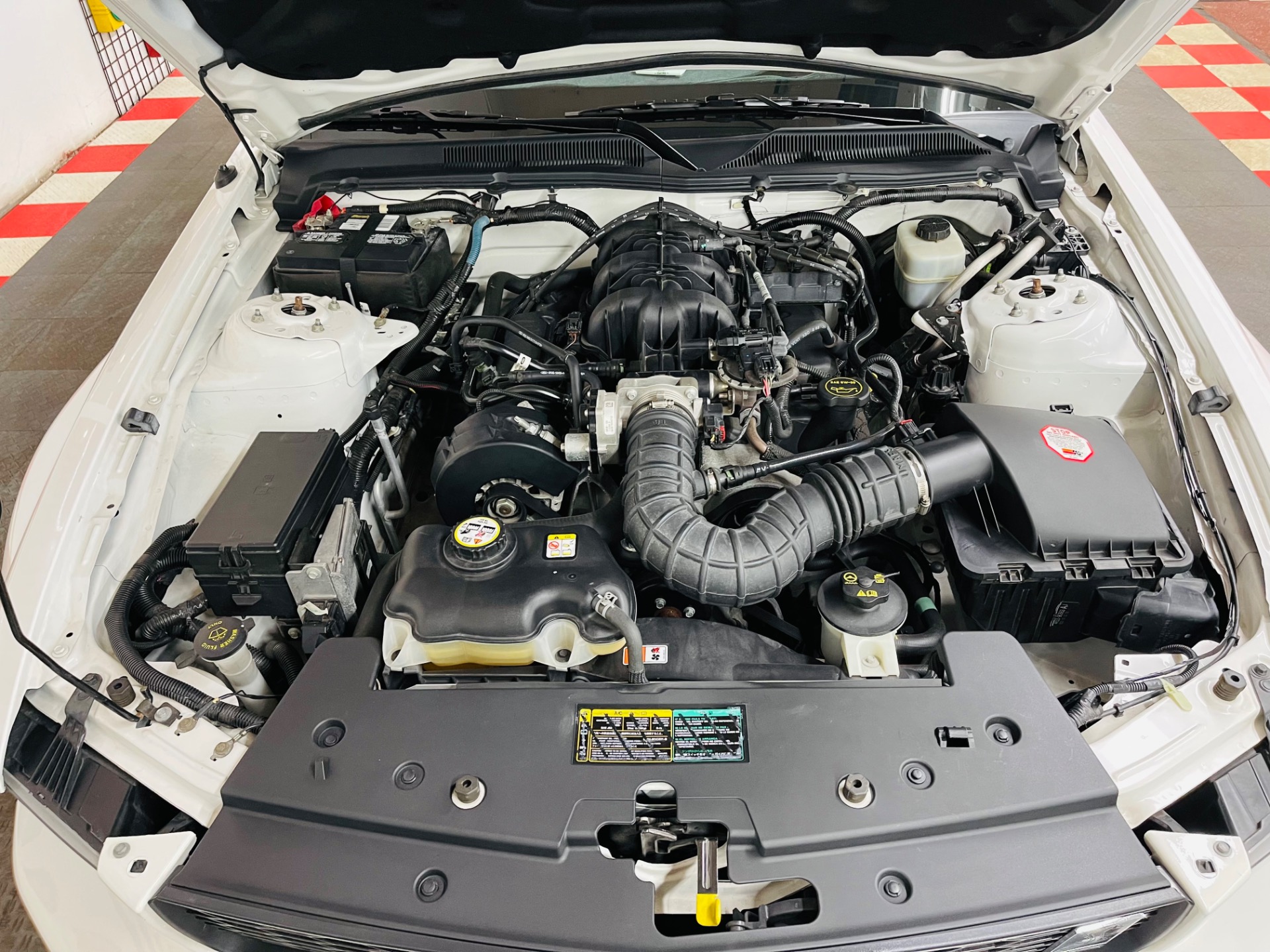 Used 2005 Ford Mustang V6 Deluxe GT 350 Tribute - SEE VIDEO | St. Petersburg, FL