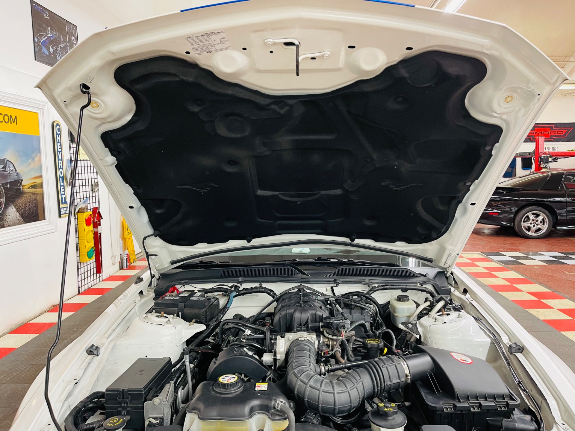 Used 2005 Ford Mustang V6 Deluxe GT 350 Tribute - SEE VIDEO | St. Petersburg, FL