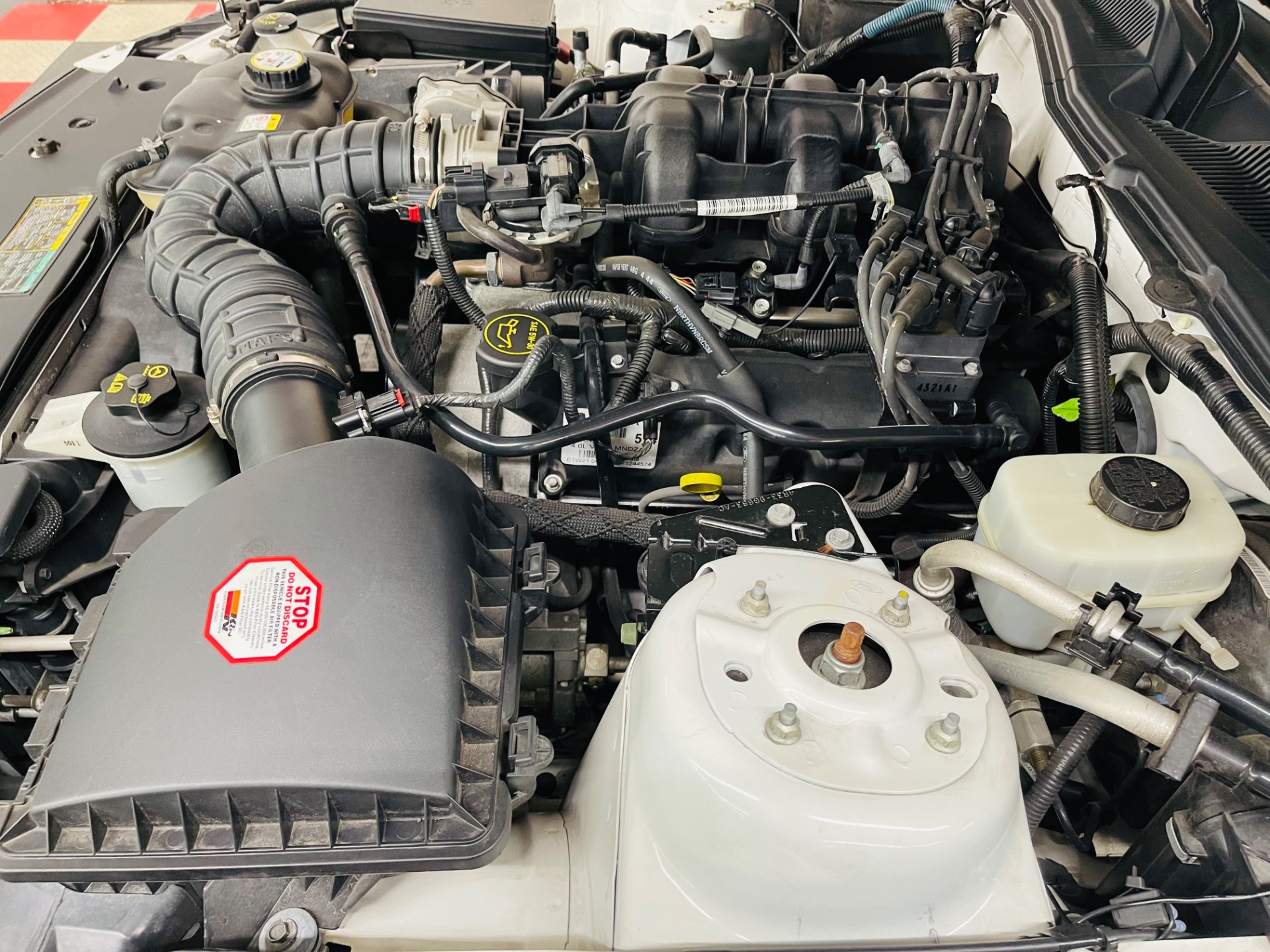 Used 2005 Ford Mustang V6 Deluxe GT 350 Tribute - SEE VIDEO | St. Petersburg, FL