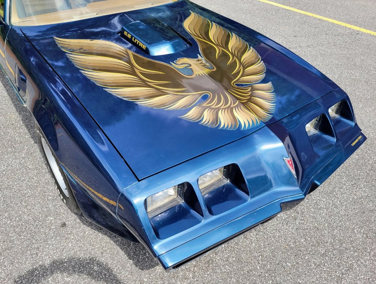 Used 1979 Pontiac Trans Am WS6 | Mundelein, IL